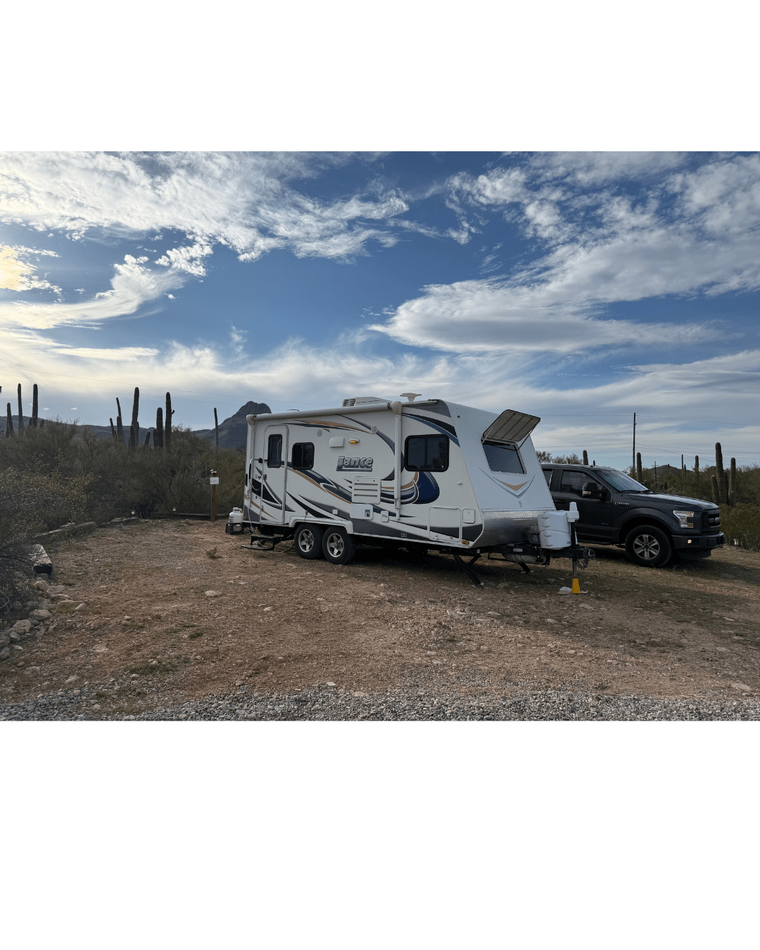 Saguaro Mountain View