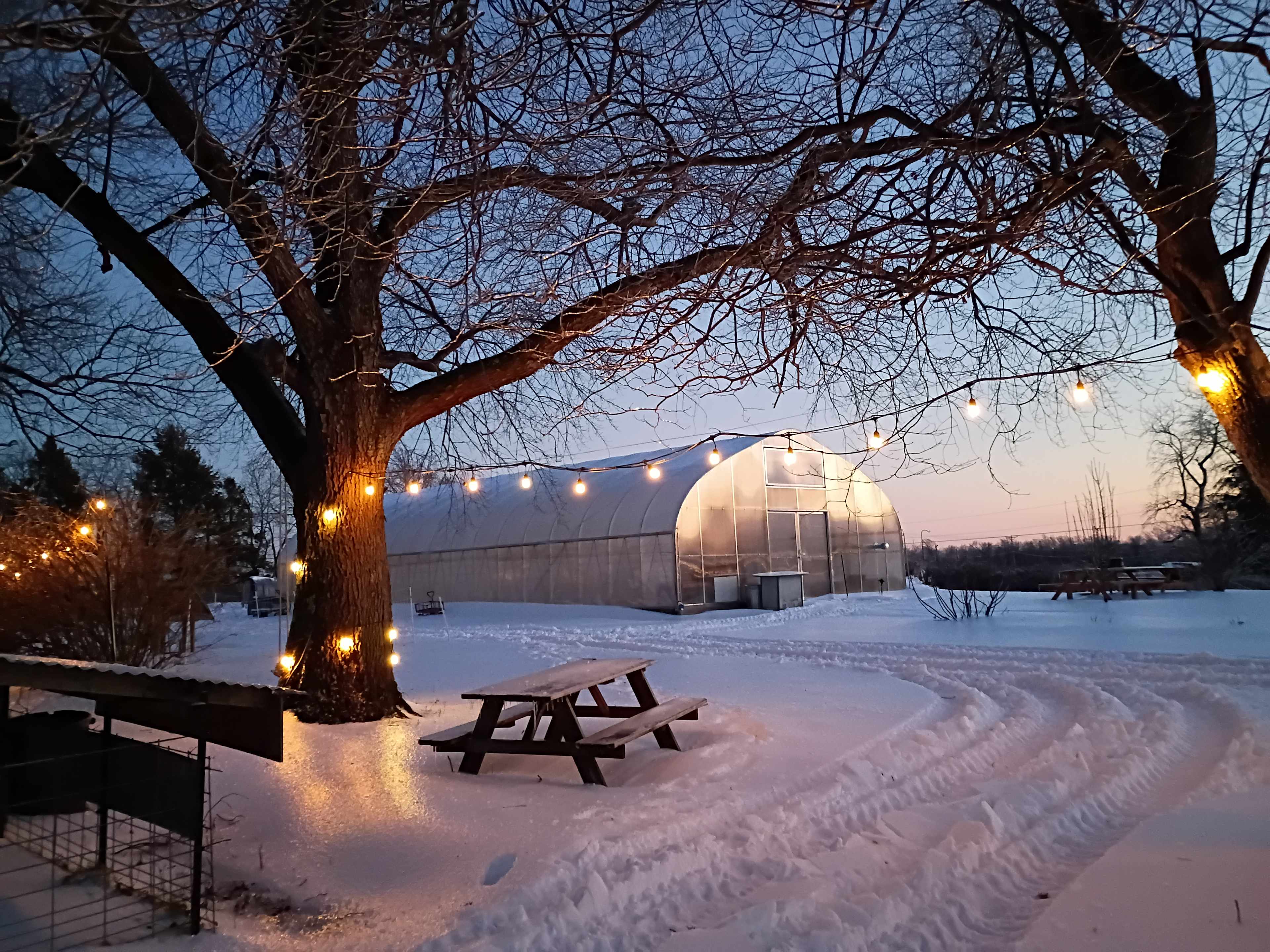 Huck and Buck Farm Sanctuary