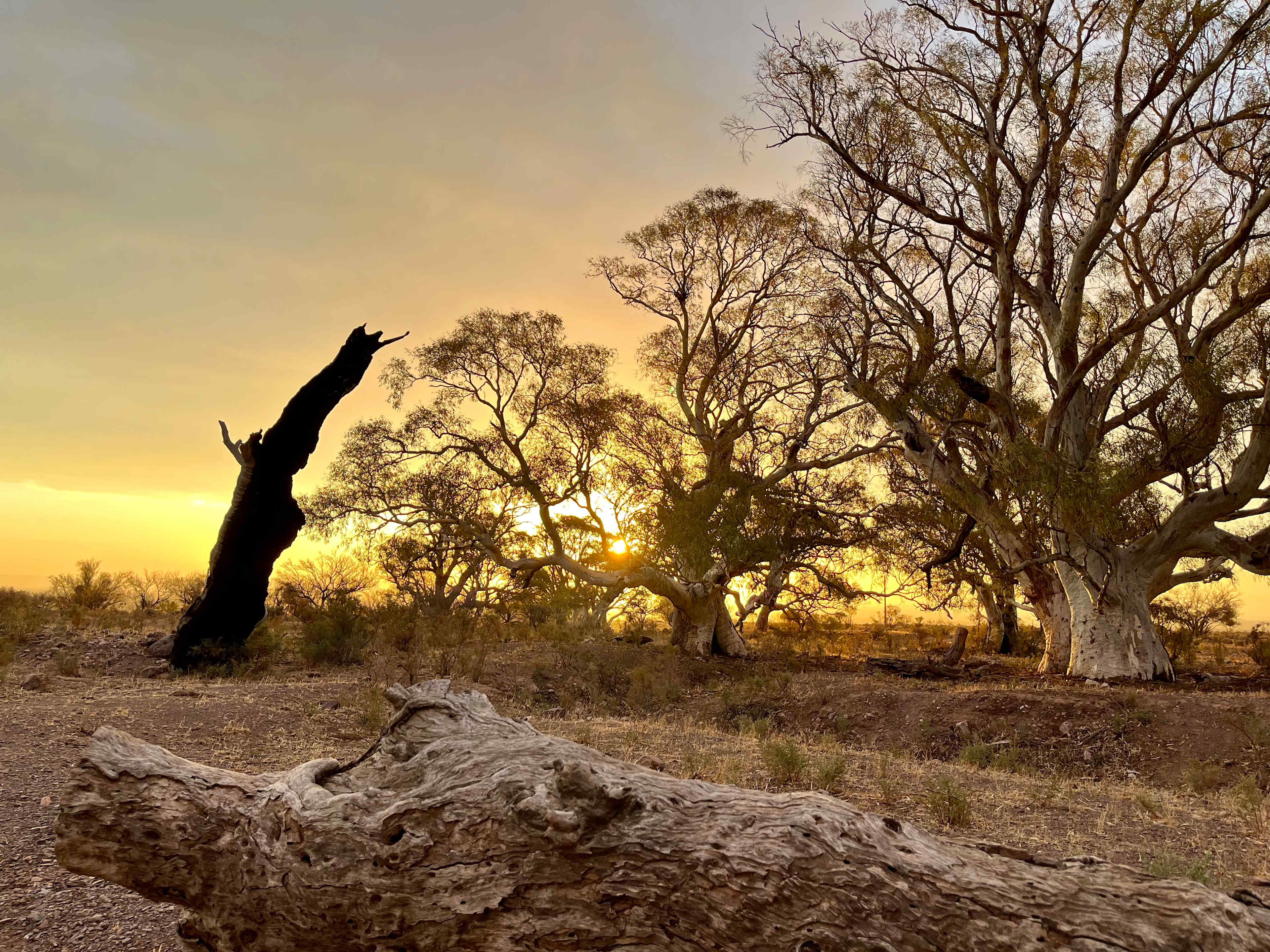 Catninga Camps & Accommodation