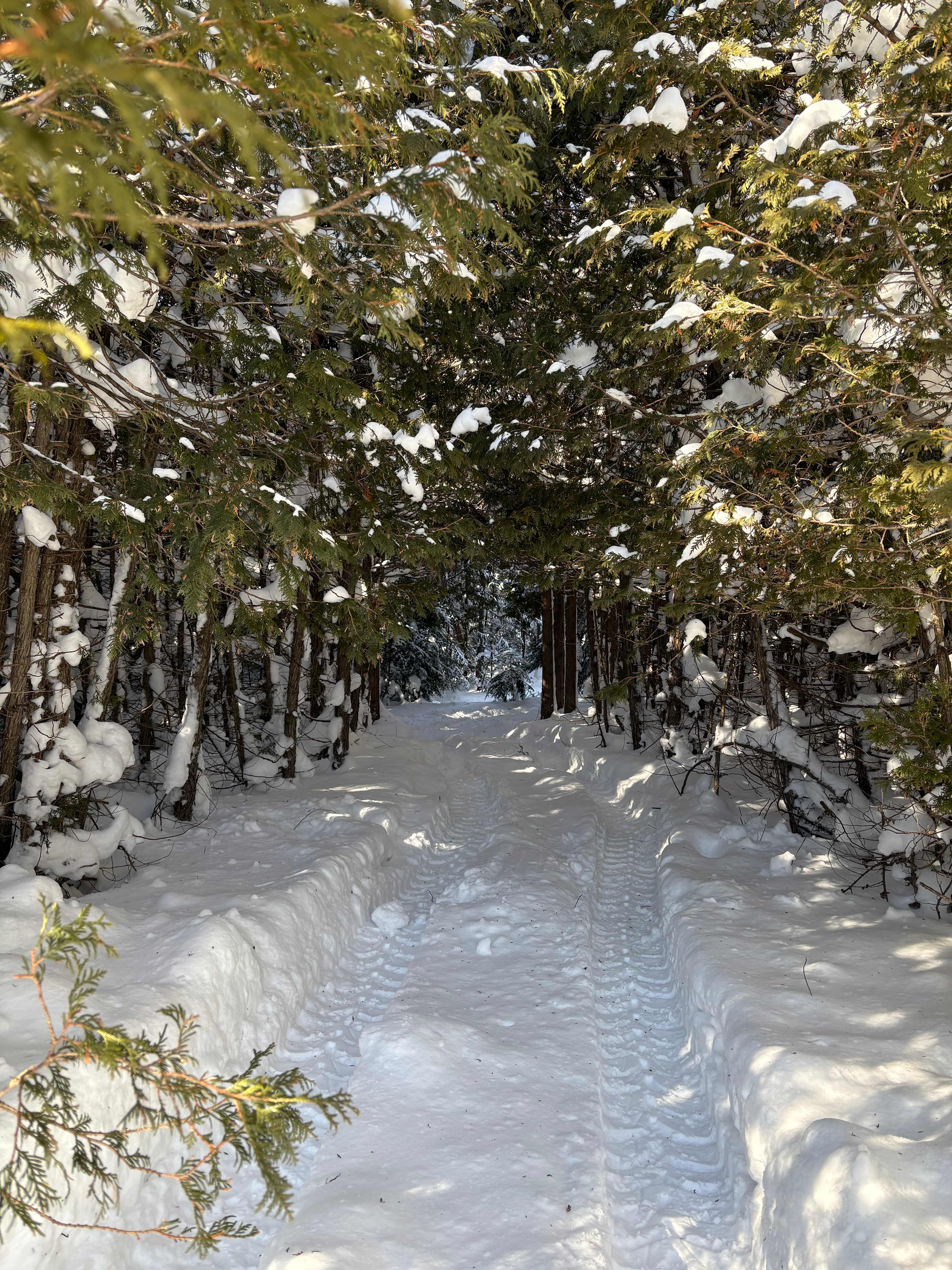 Edges Sideroad Springs