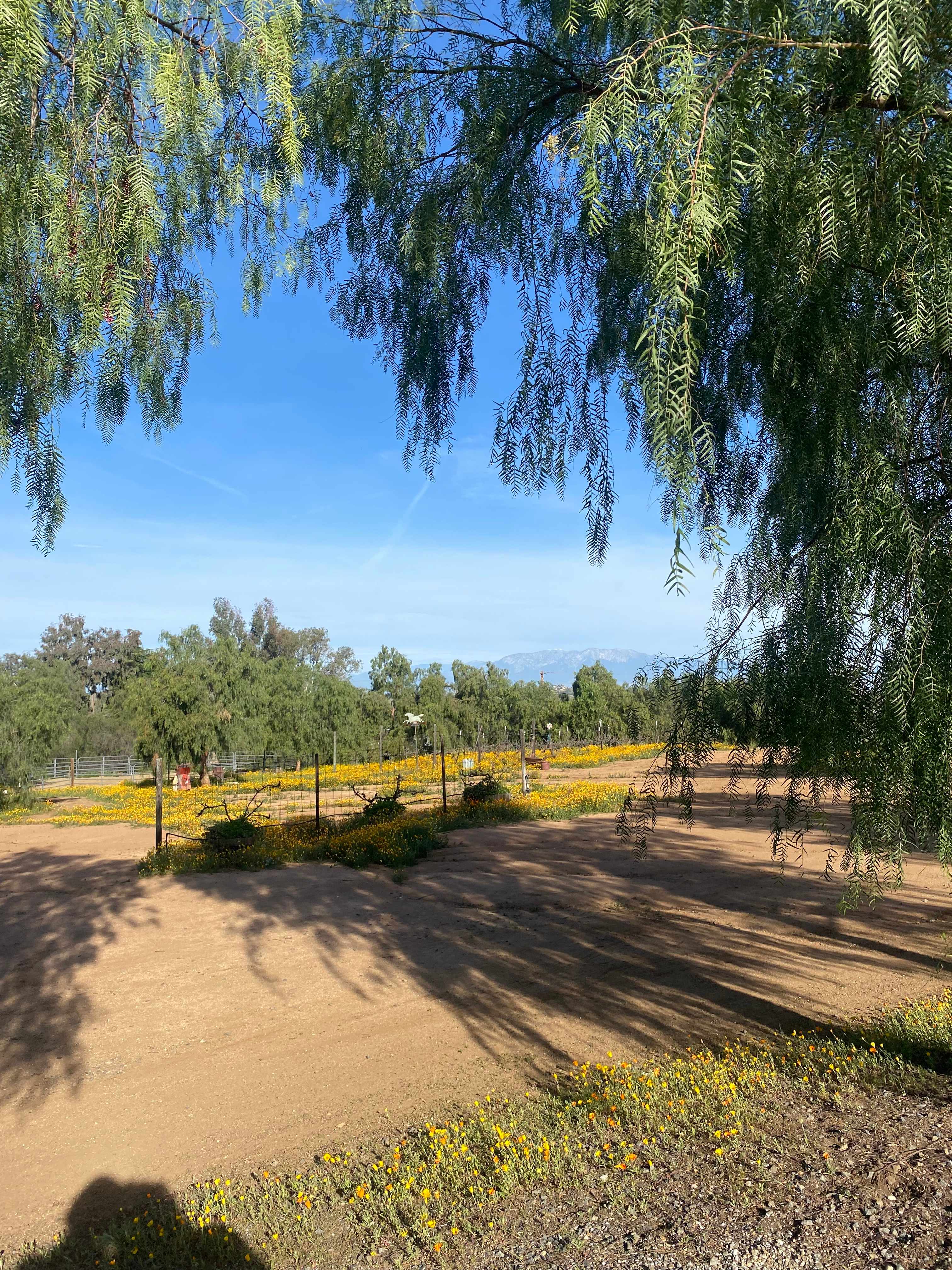 Zen Ranch And Retreat