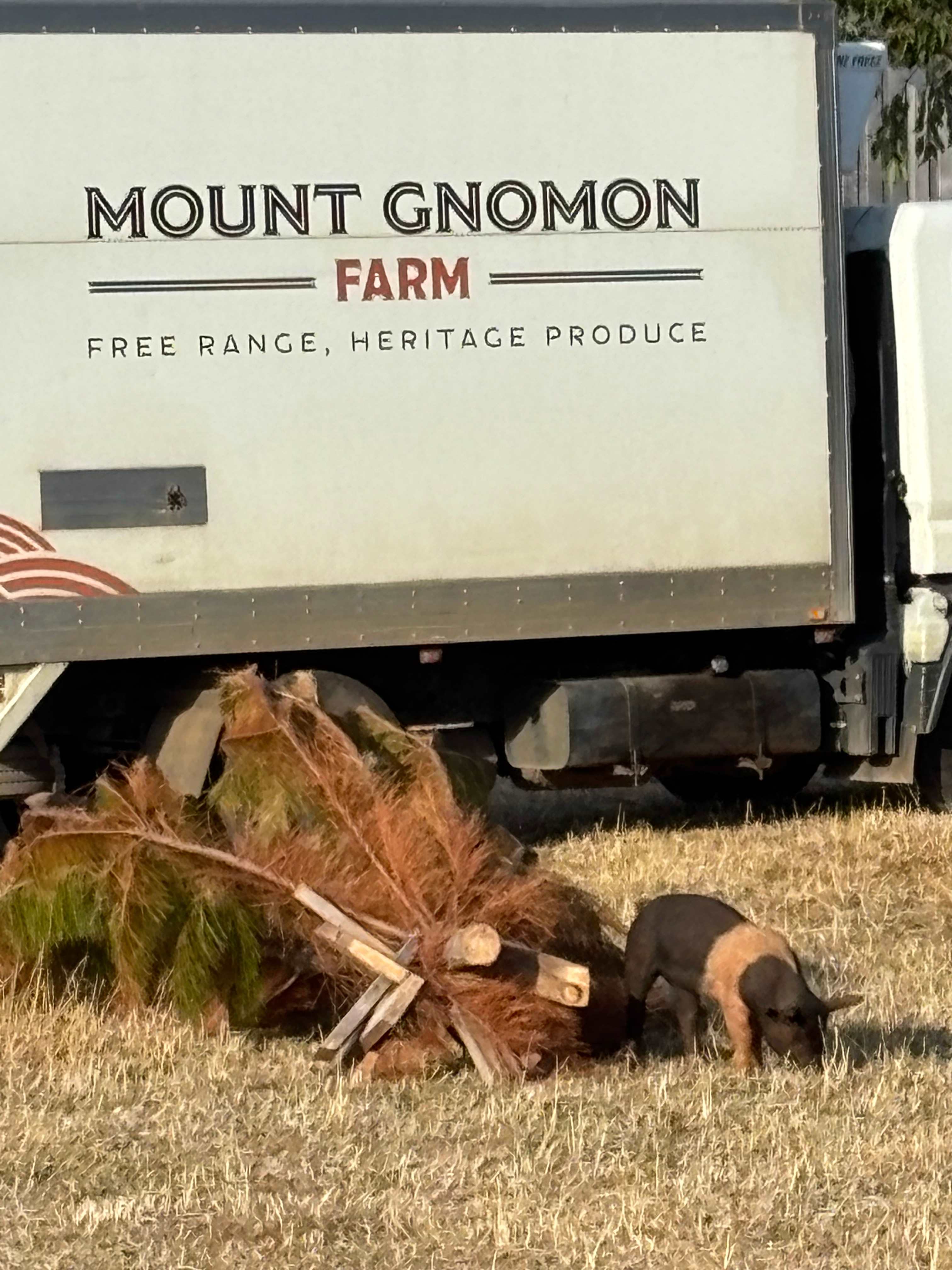 Mount Gnomon Farm