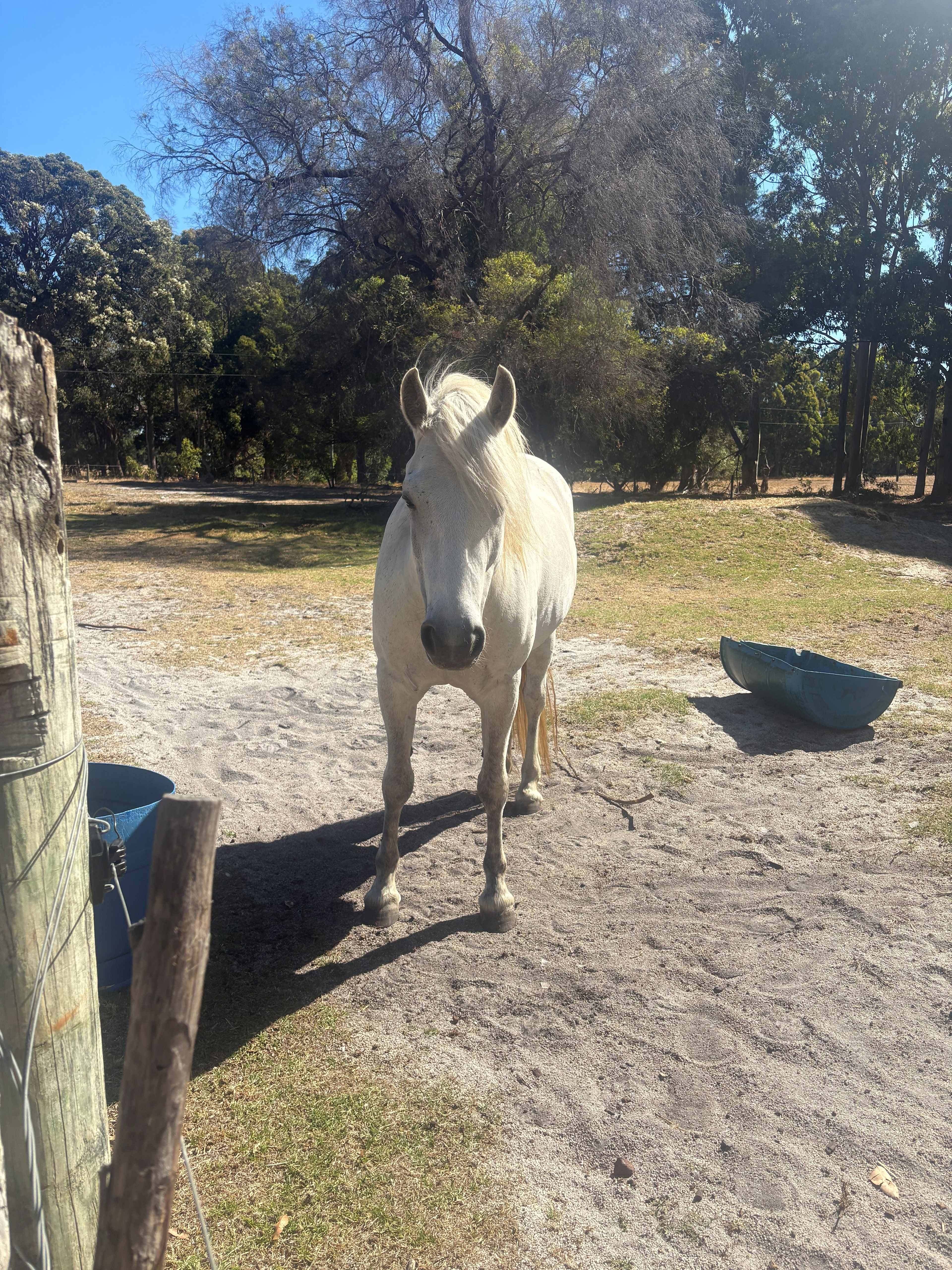 Fair Harvest Retreat Margaret River