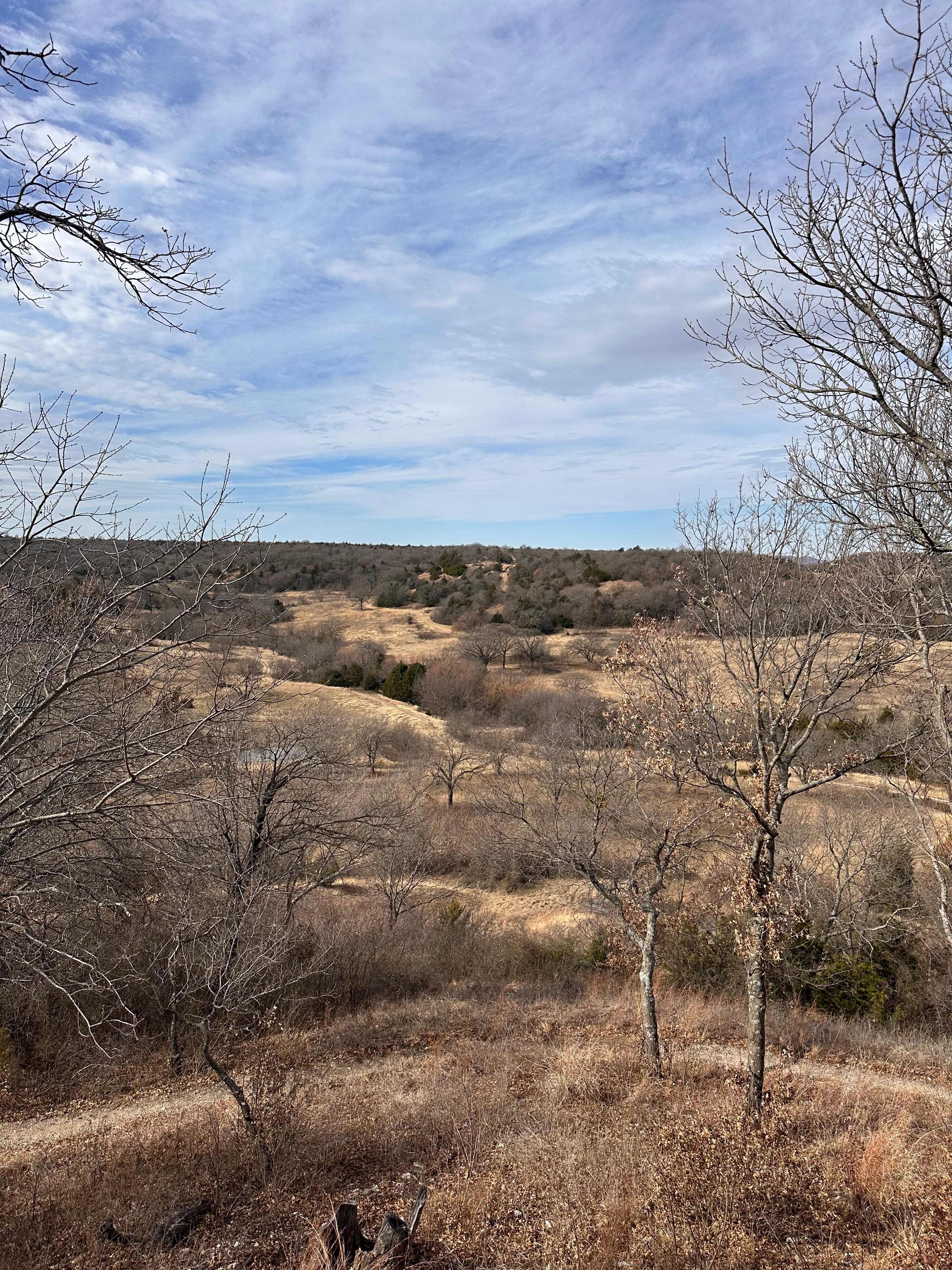 4R Ranch Winery Campsite