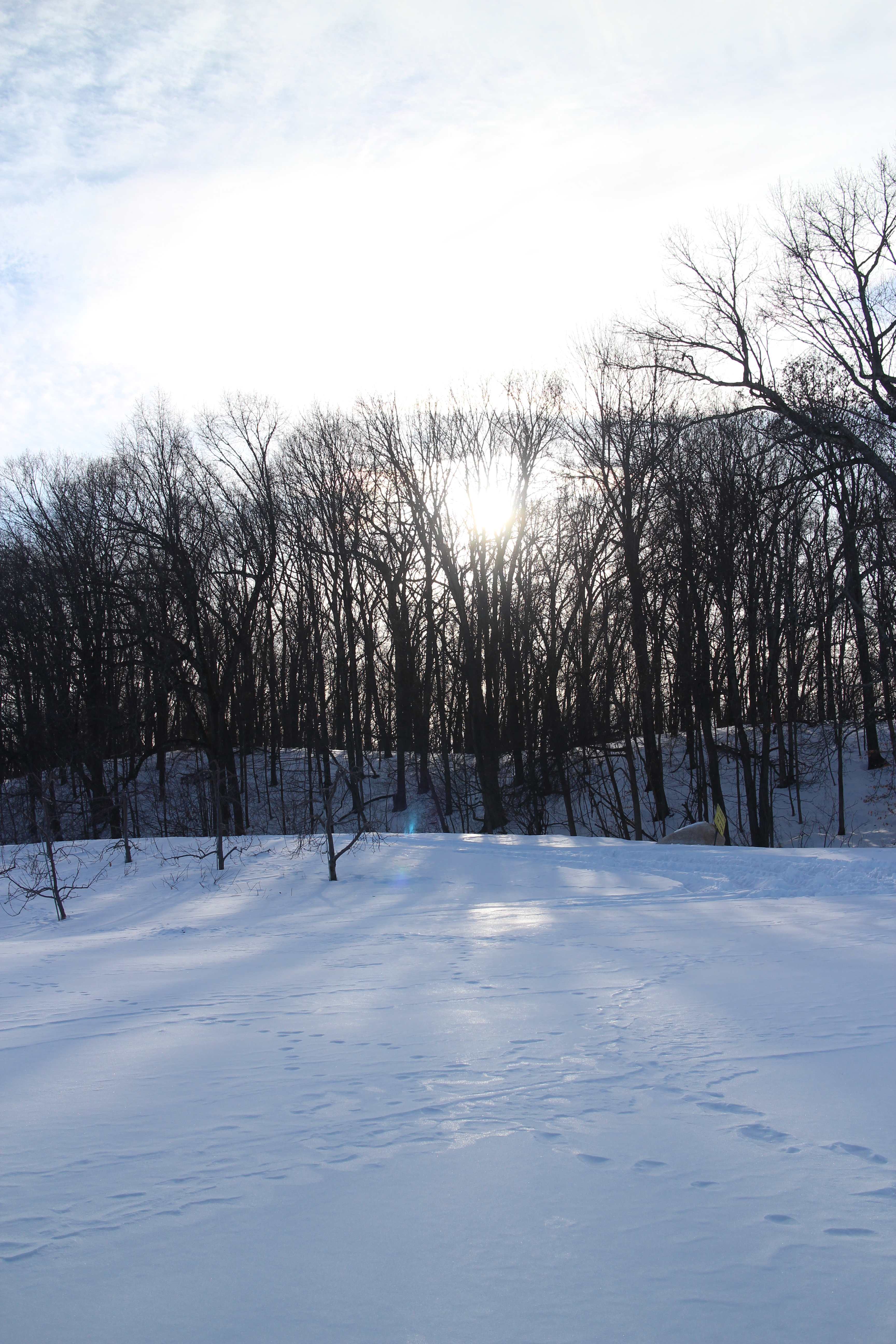 The Mountain Top @Wright's Farm