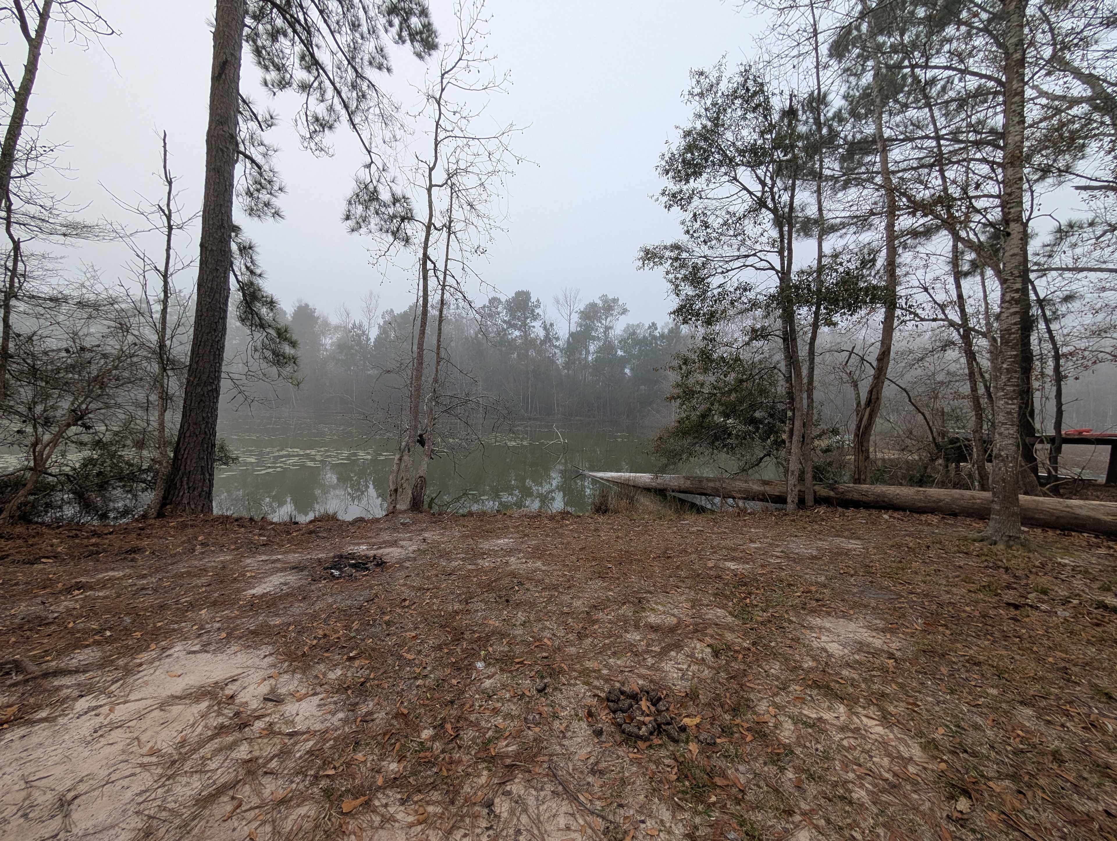 Camp site at the pond 