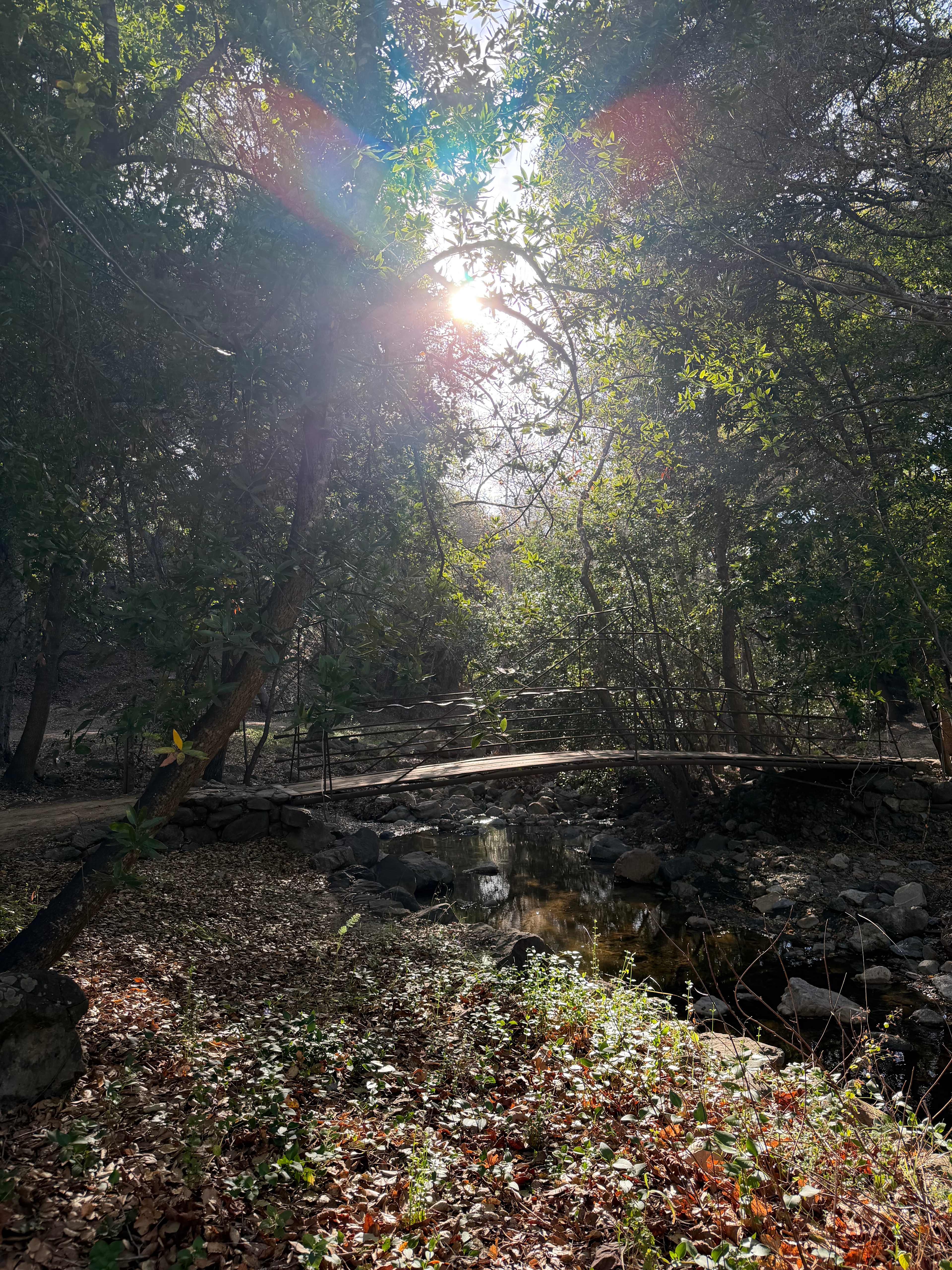 Creekside Camping and Mineral Baths