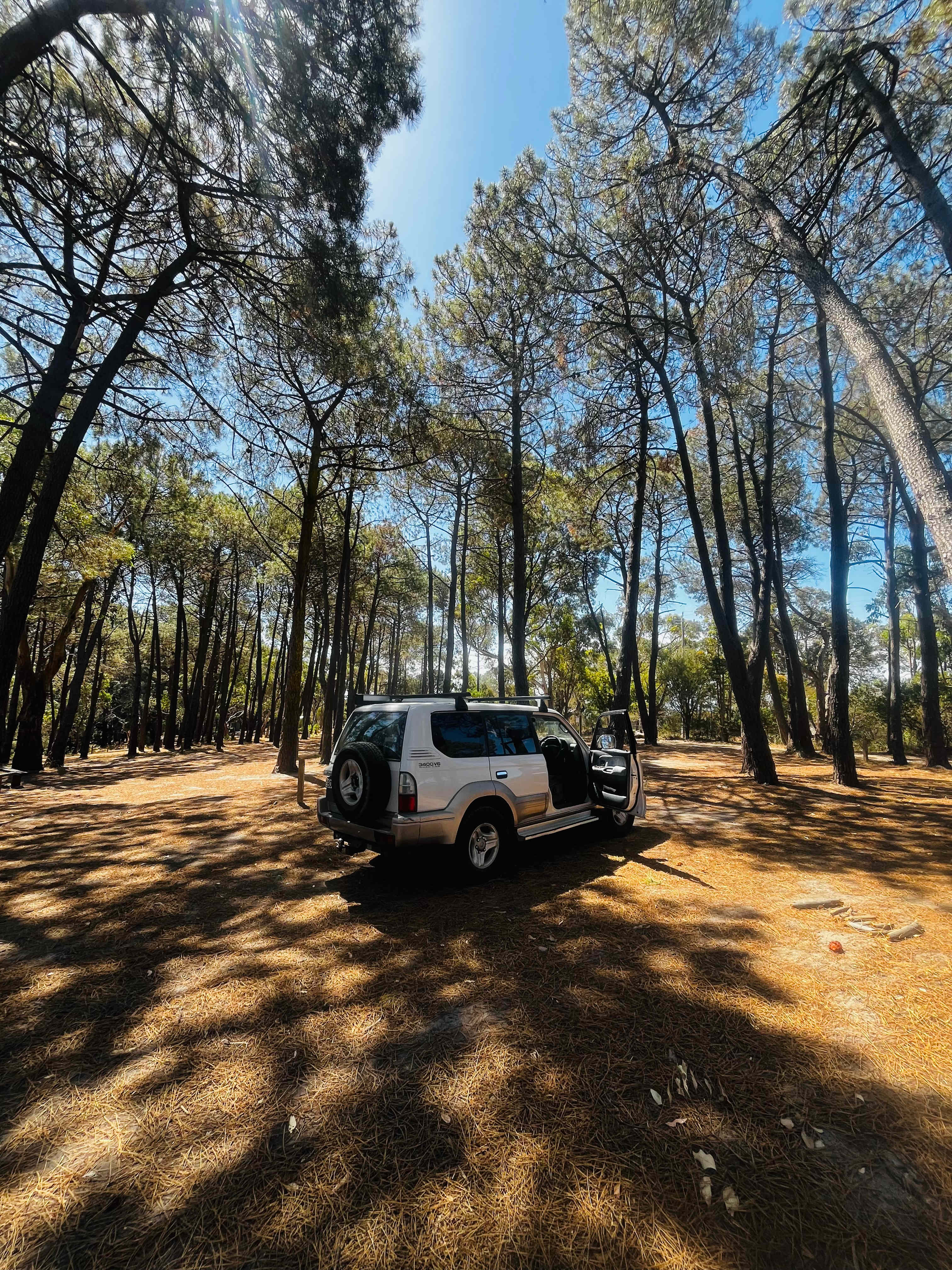 Bay Park Adventure Centre