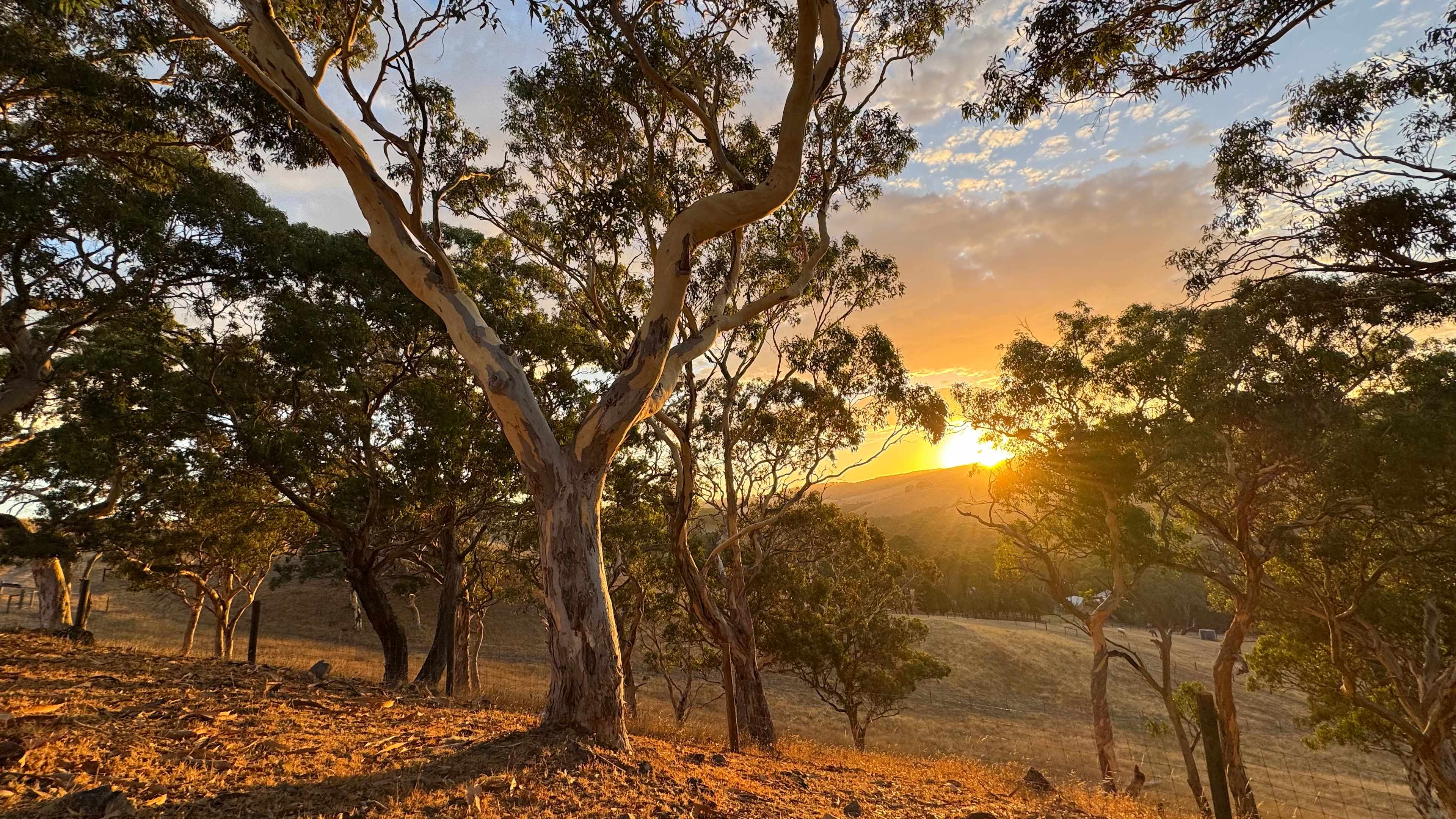 Noorla Farm (Happy Camping Ground)