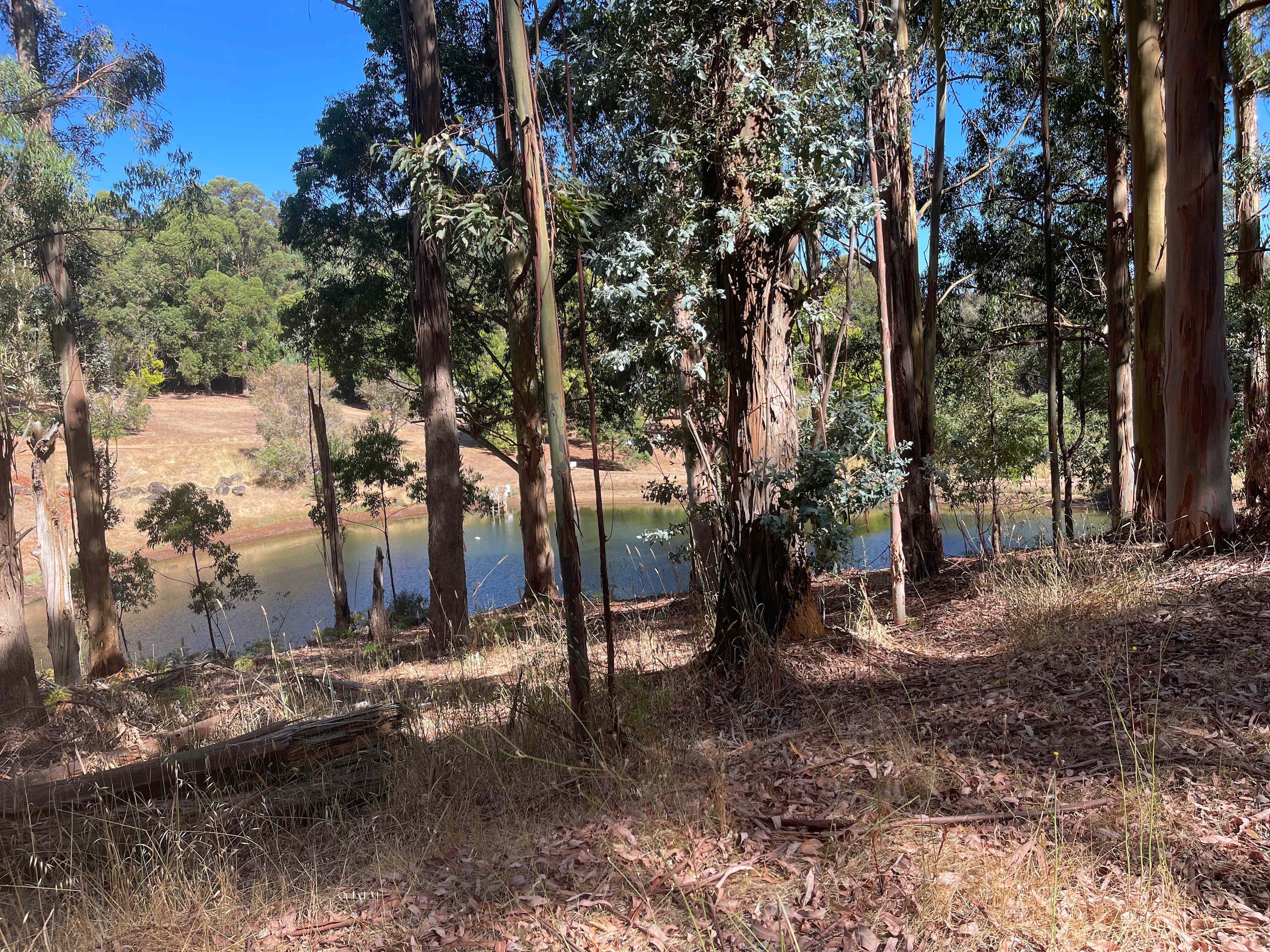 Lewana Cottages Campsites