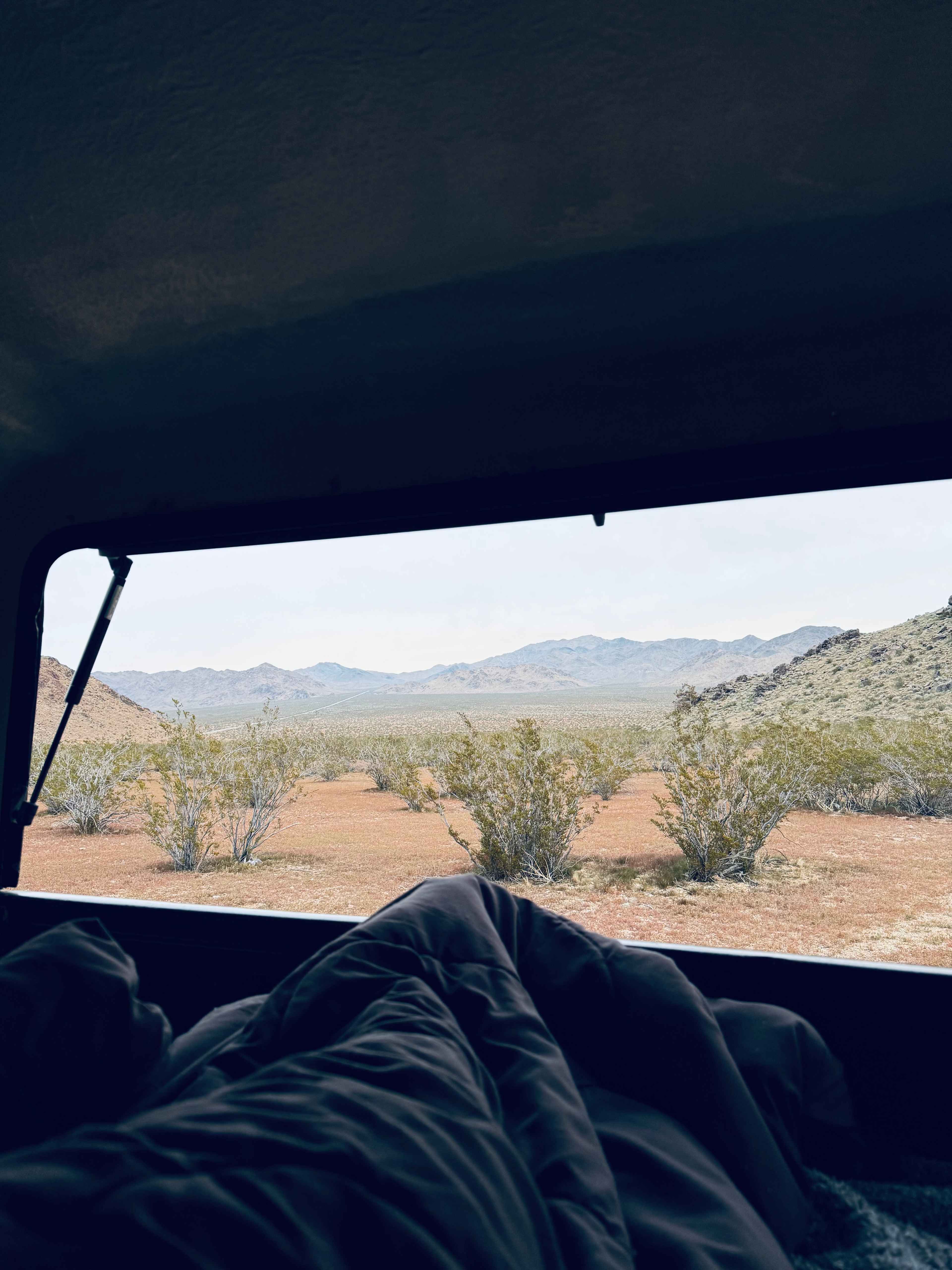 Mojave Moonlight Camping