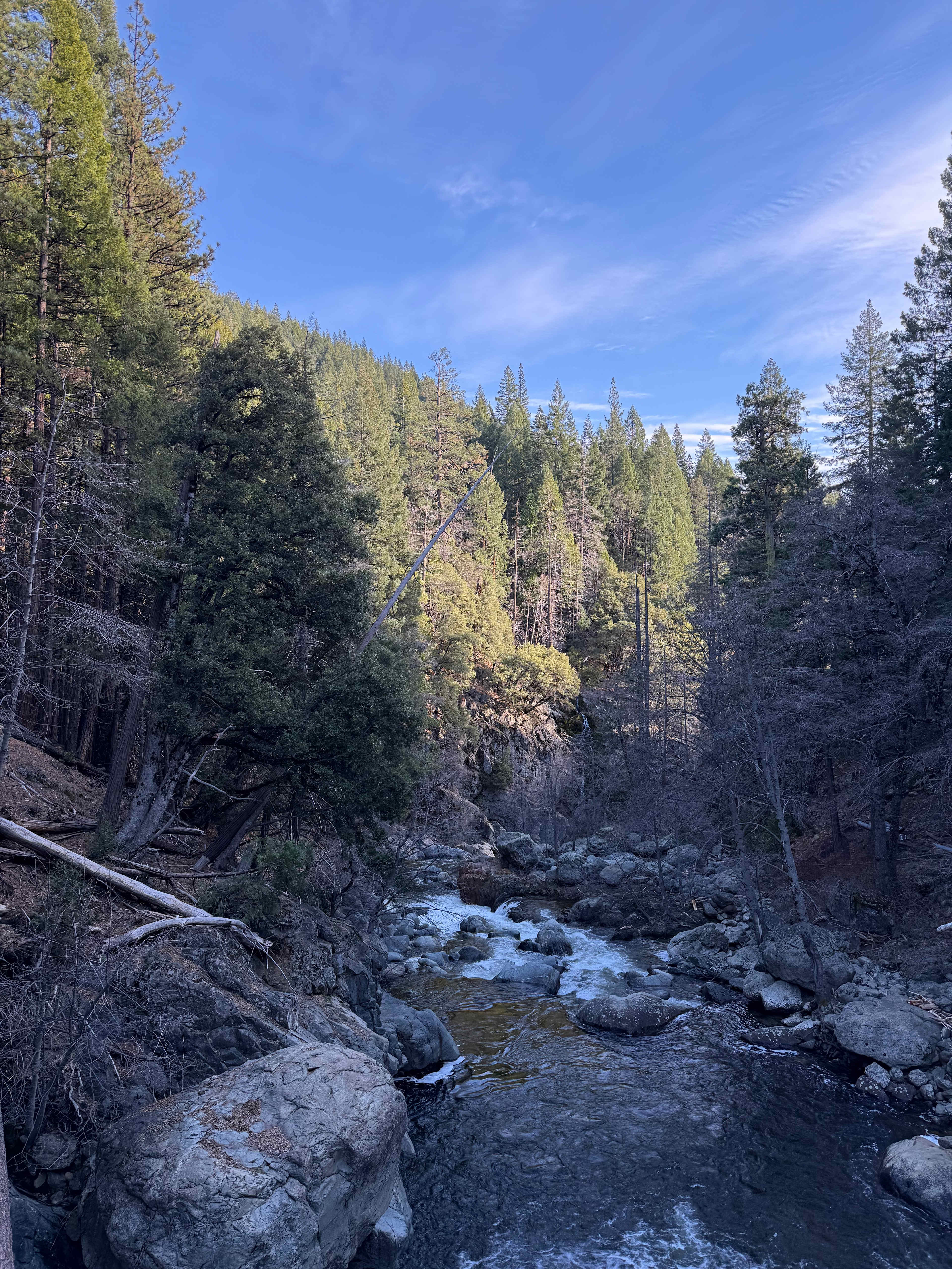 Magical Lost Sierra Bungalow!