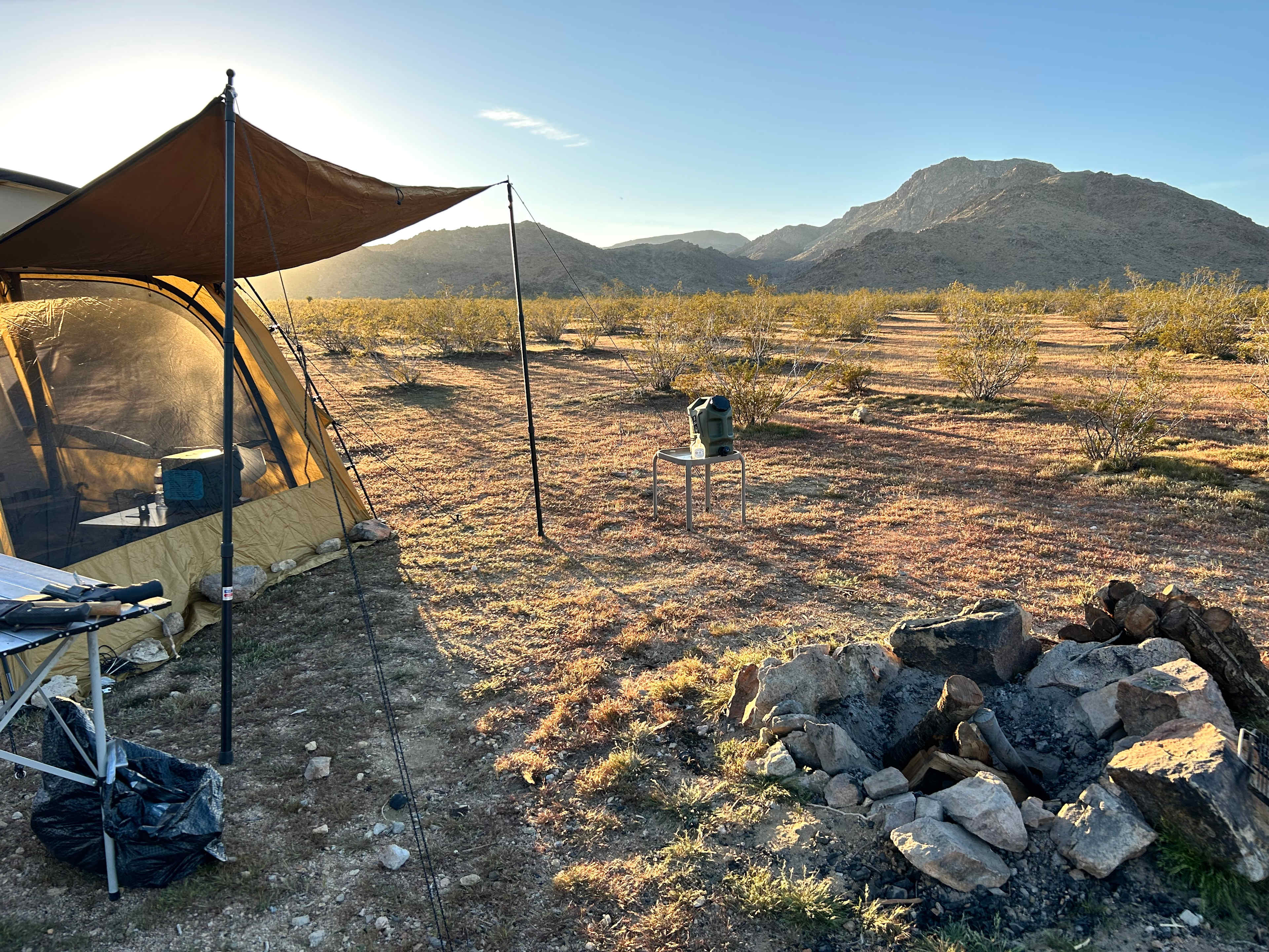 Mojave Moonlight Camping