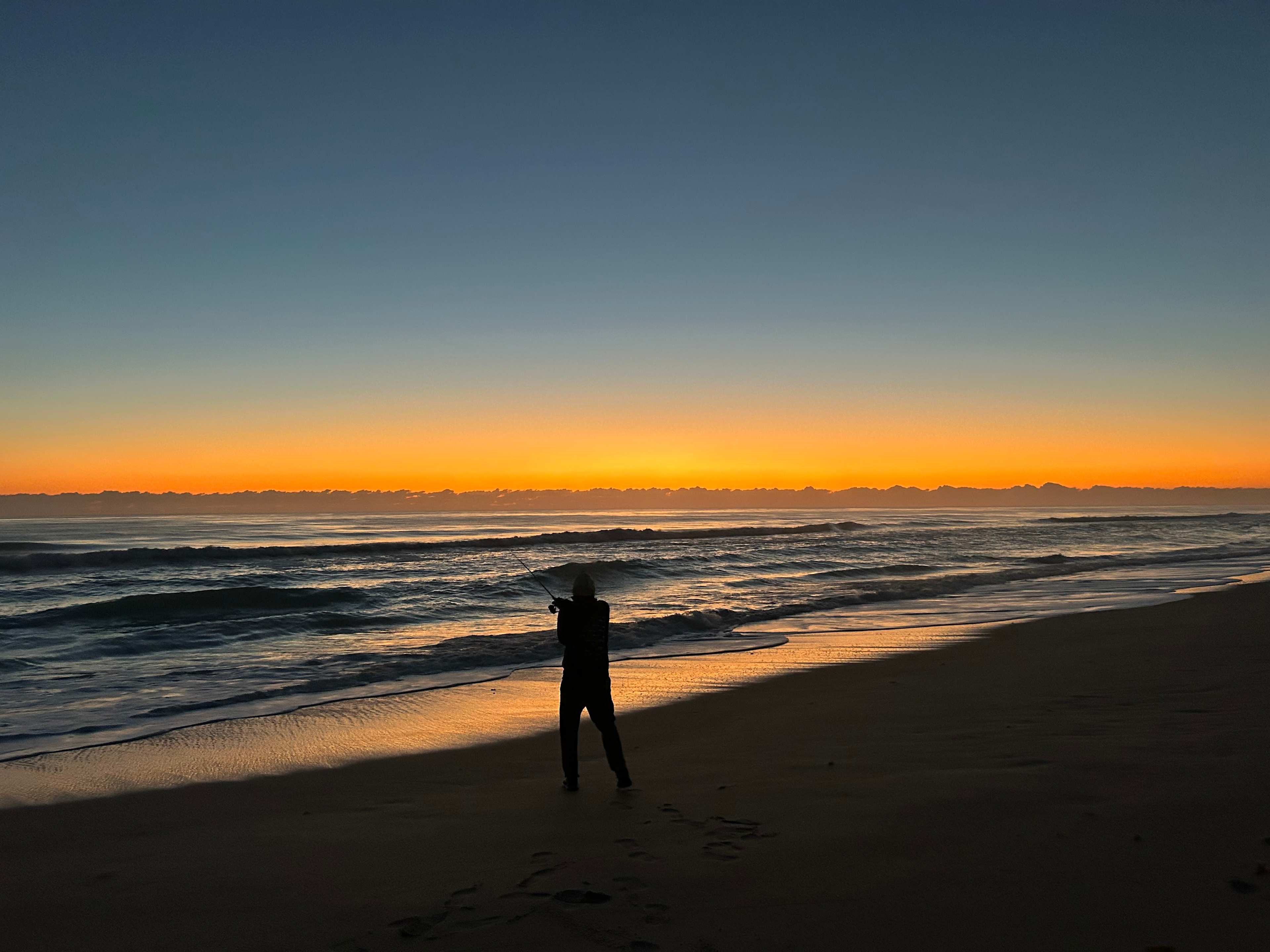 Surfer Beach And Tree Sanctuary