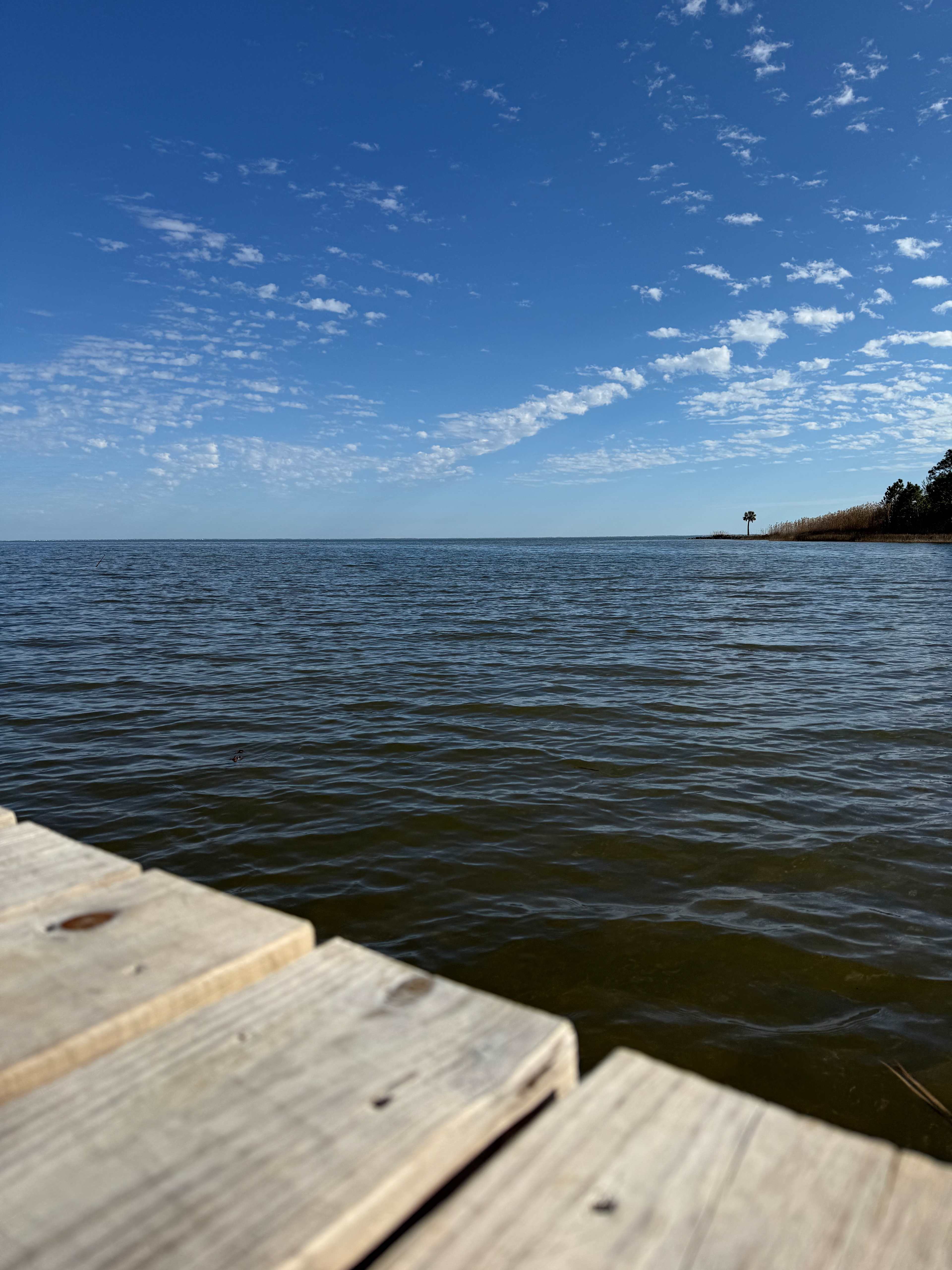 Apalachicola RVCamp w/Utility& Dock