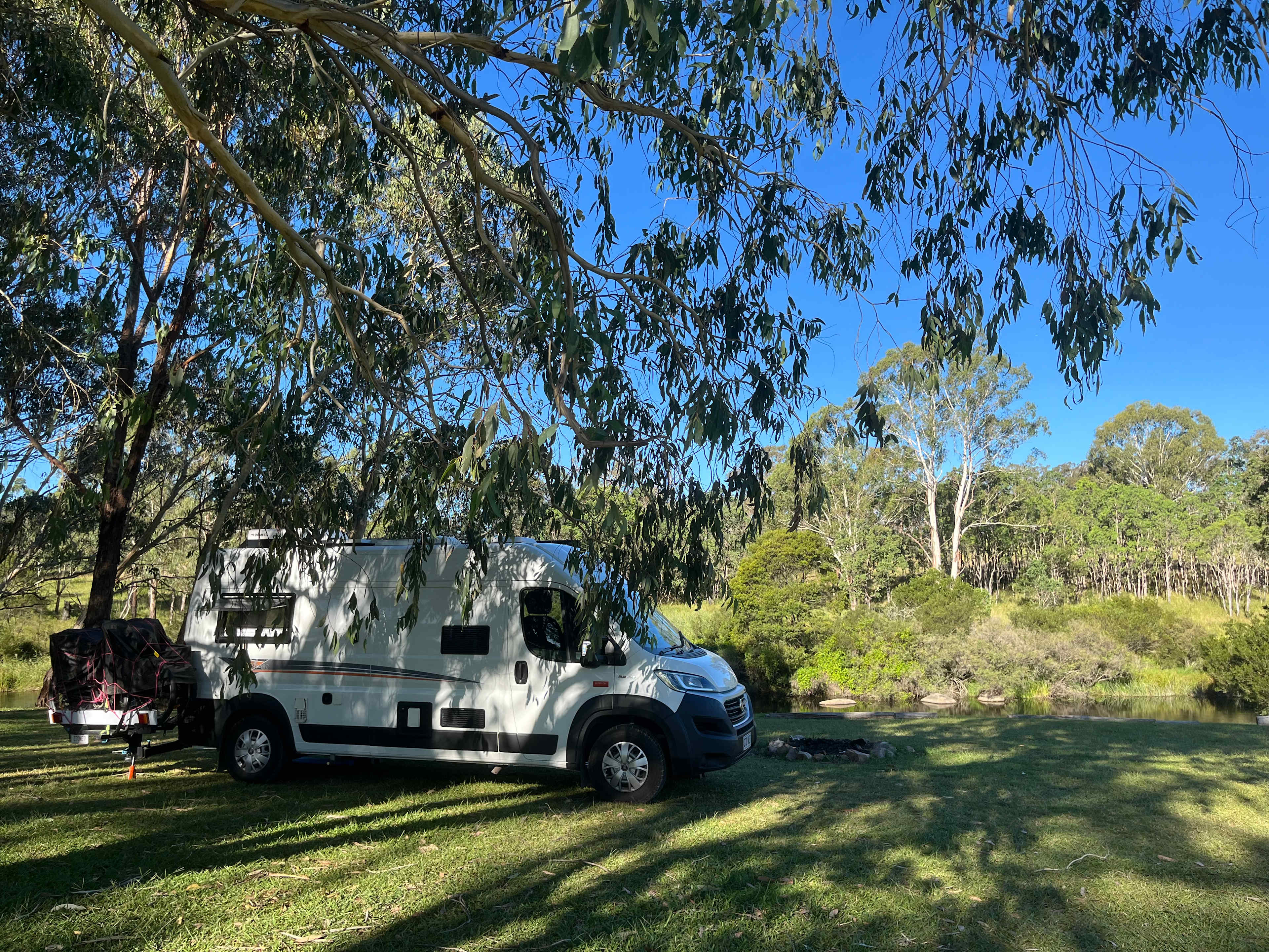Shade among the gum trees