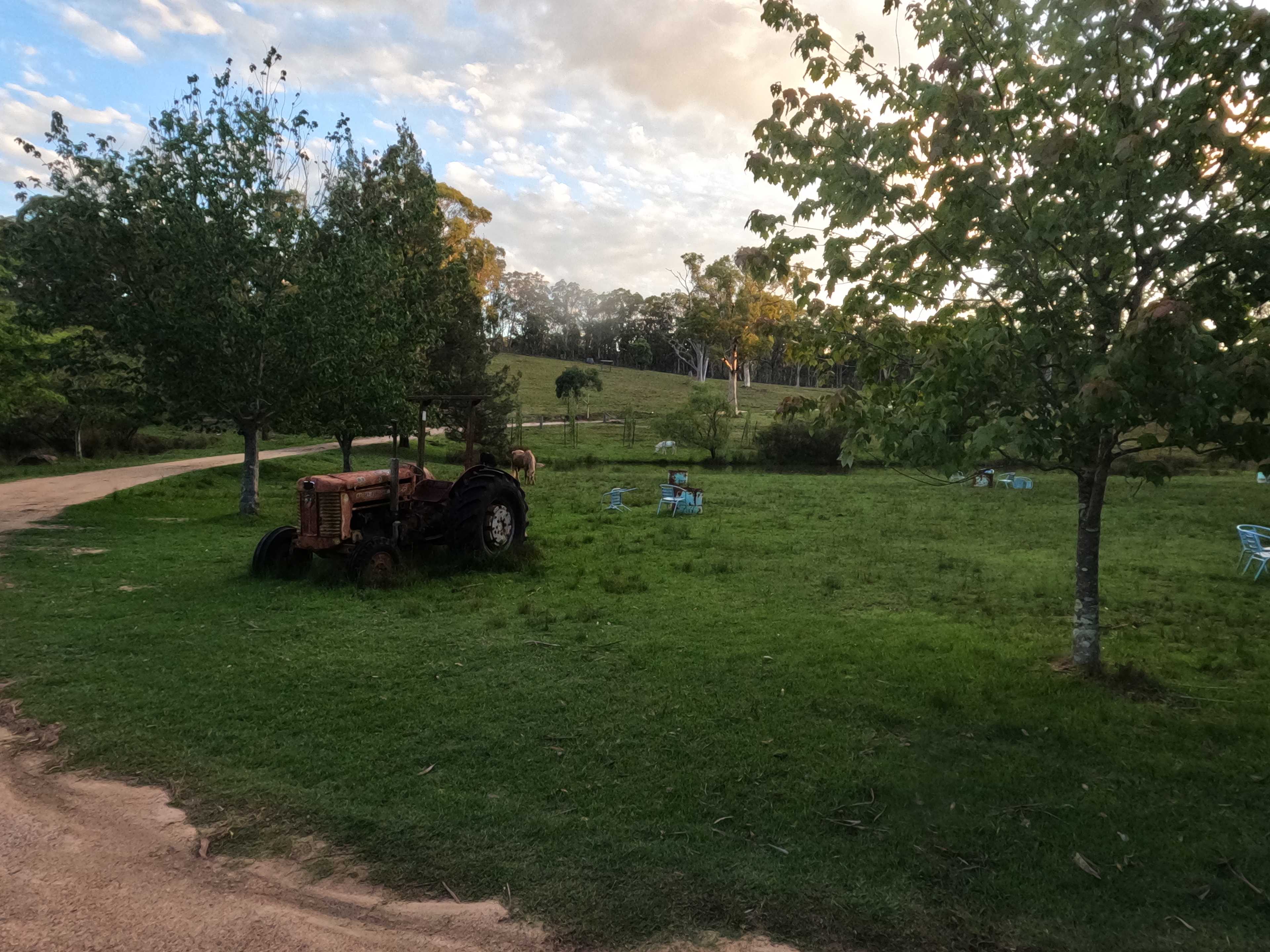 Megalong Valley Farm