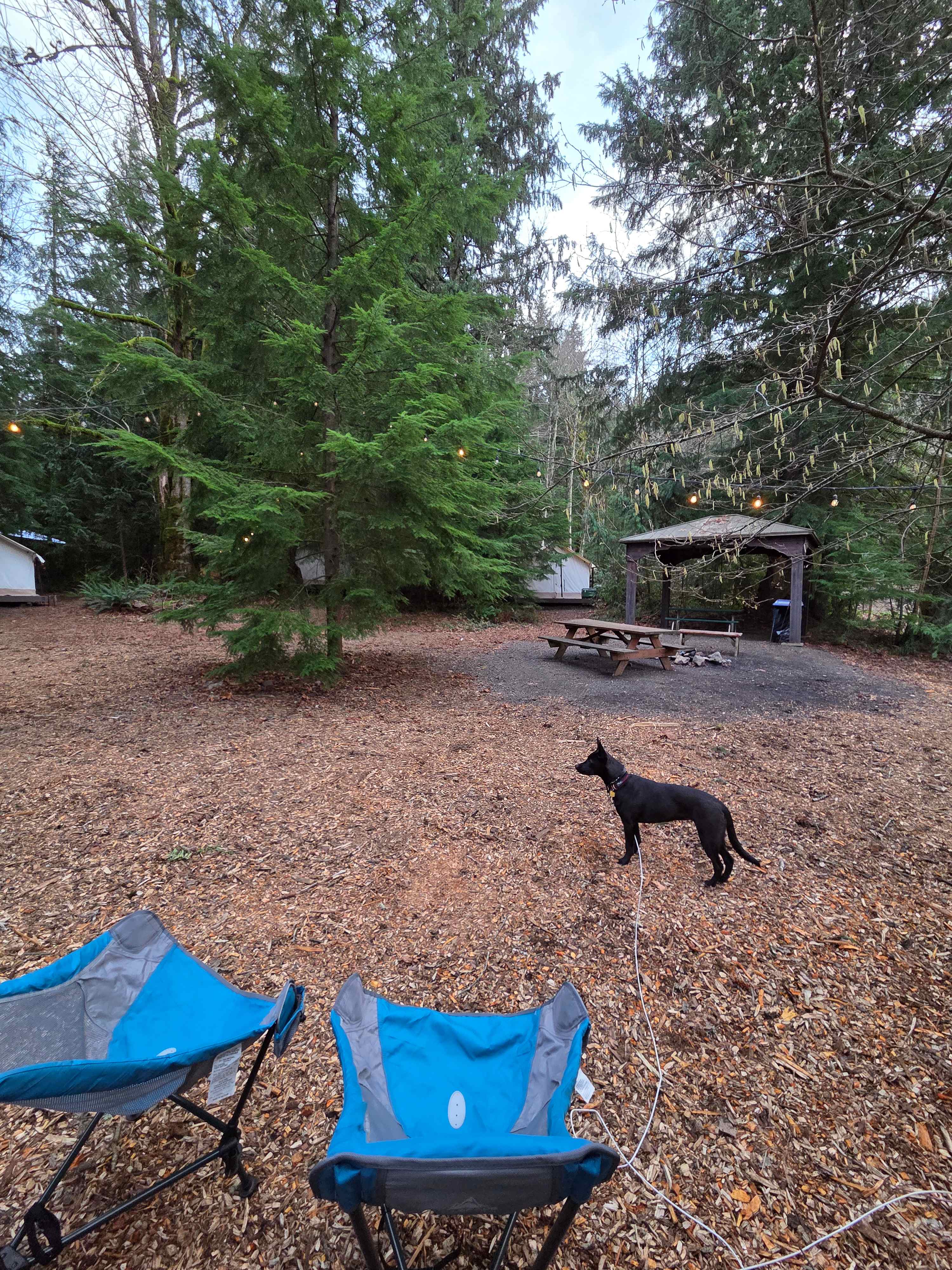 The communal firepit was nice for the chilly evenings