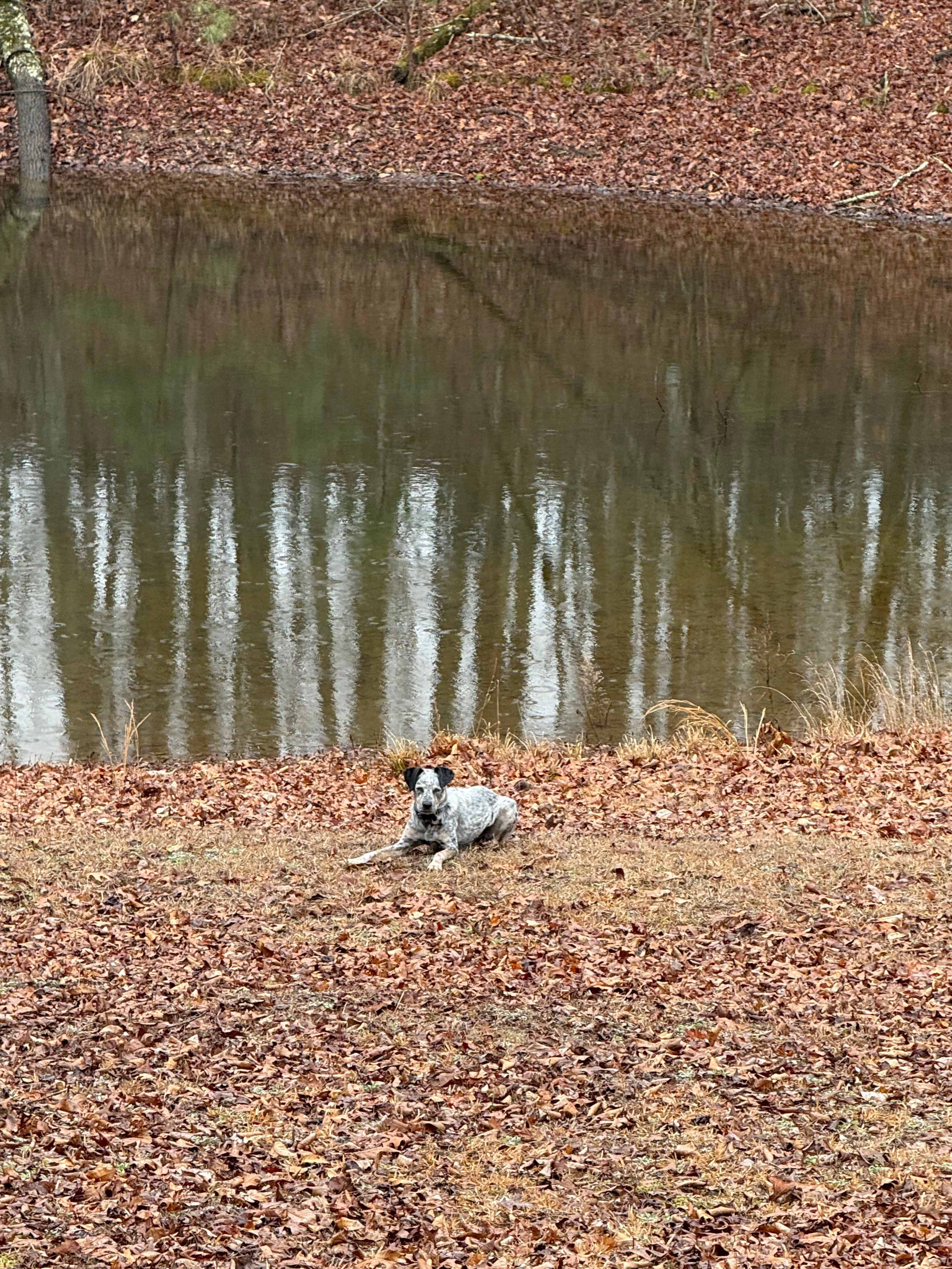 Hidden Branch Campground