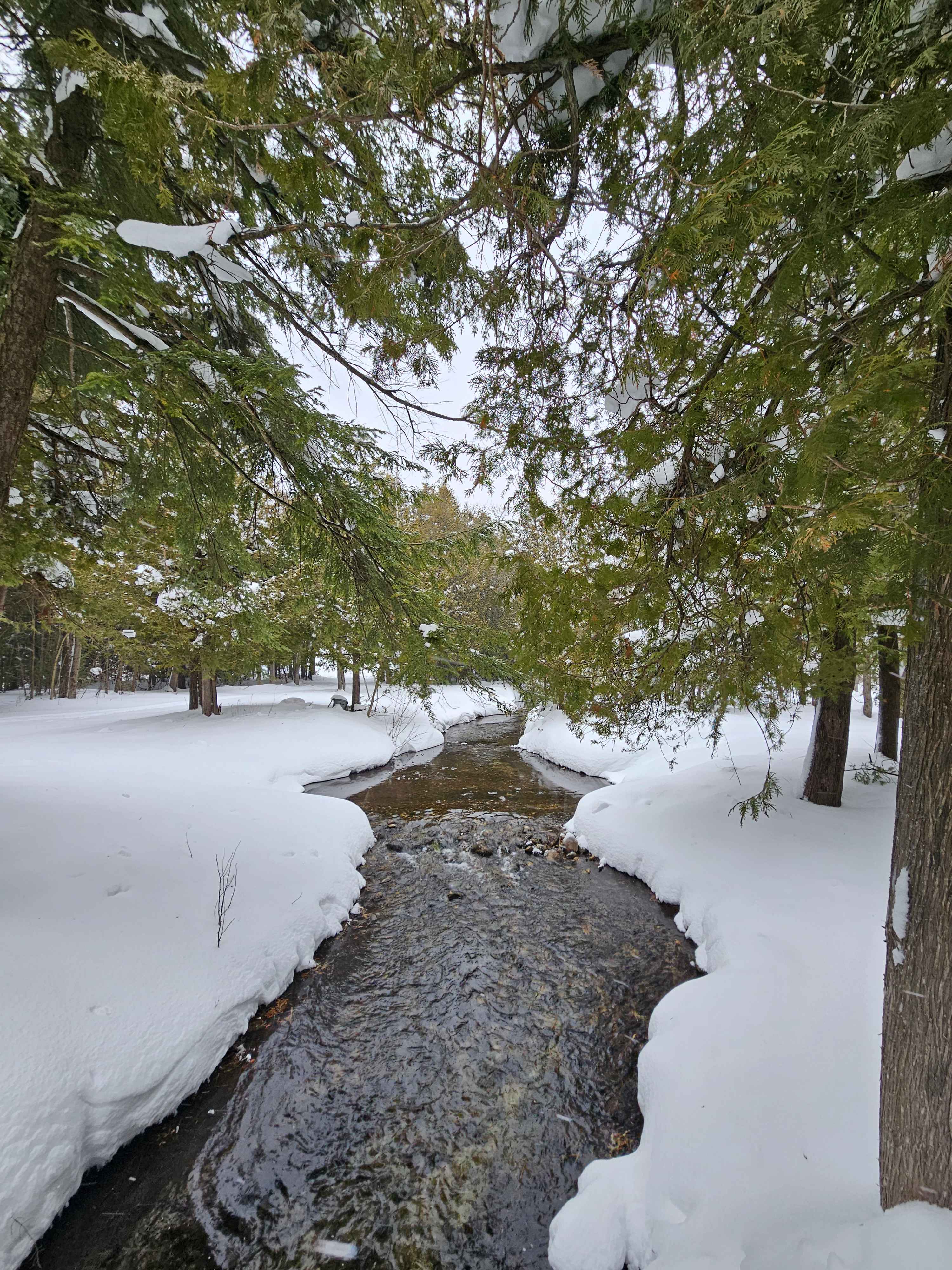 Edges Sideroad Springs