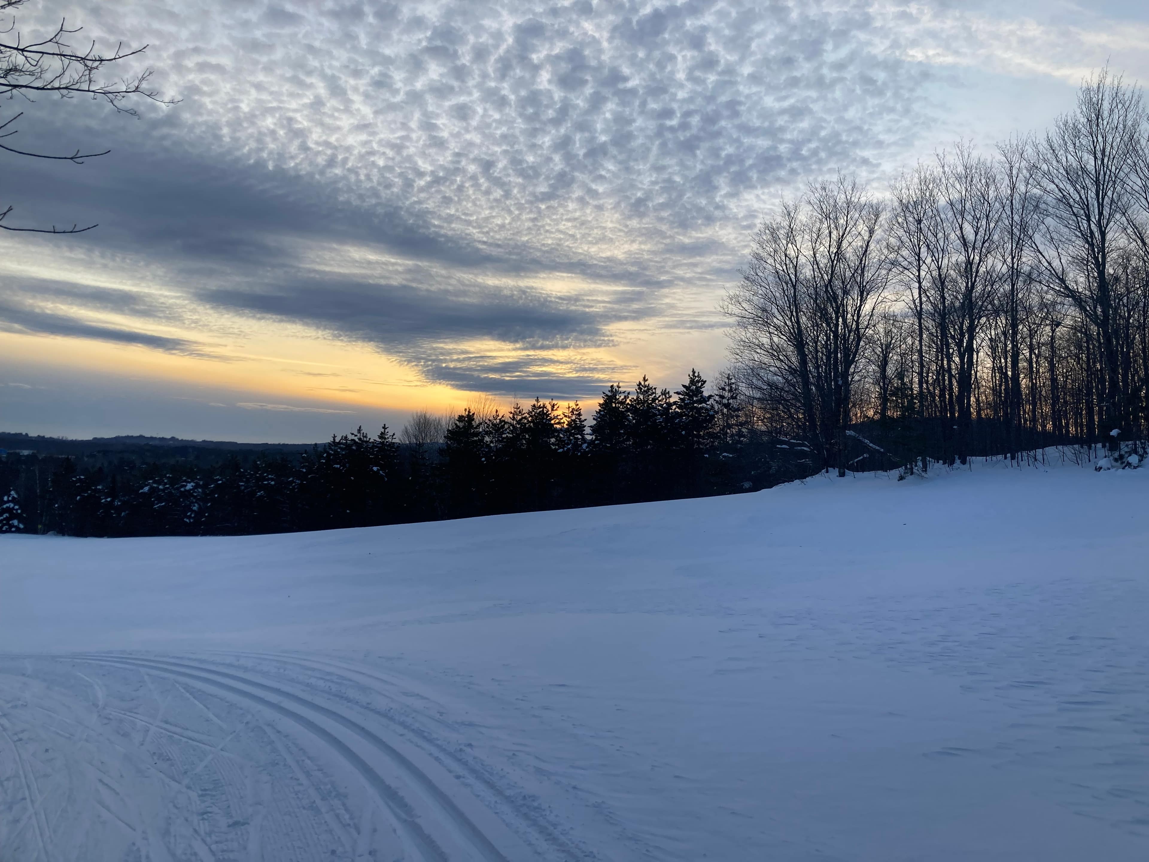 Fantastic grooming and views, every time. 