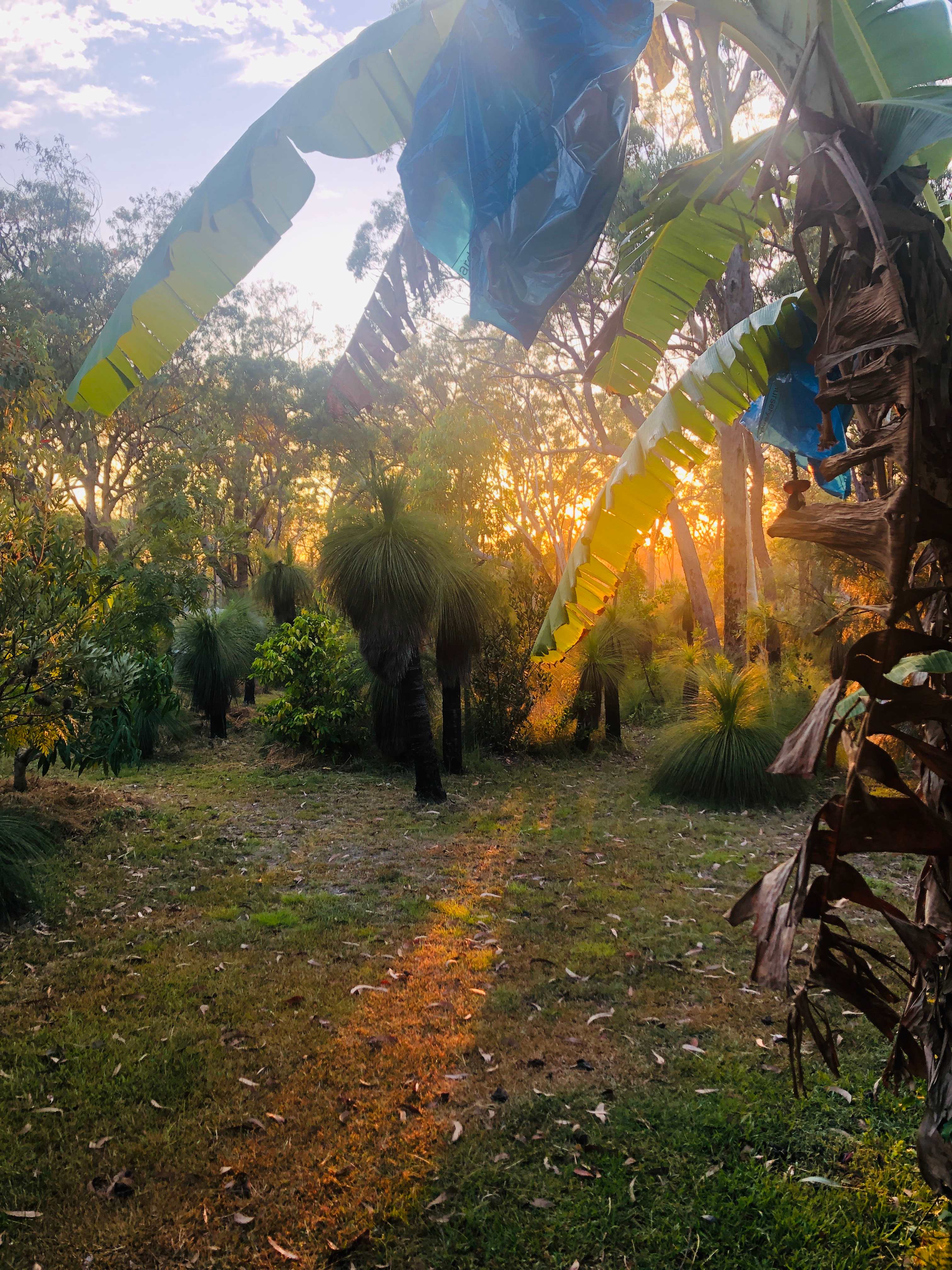 Groundswell Guest Camp