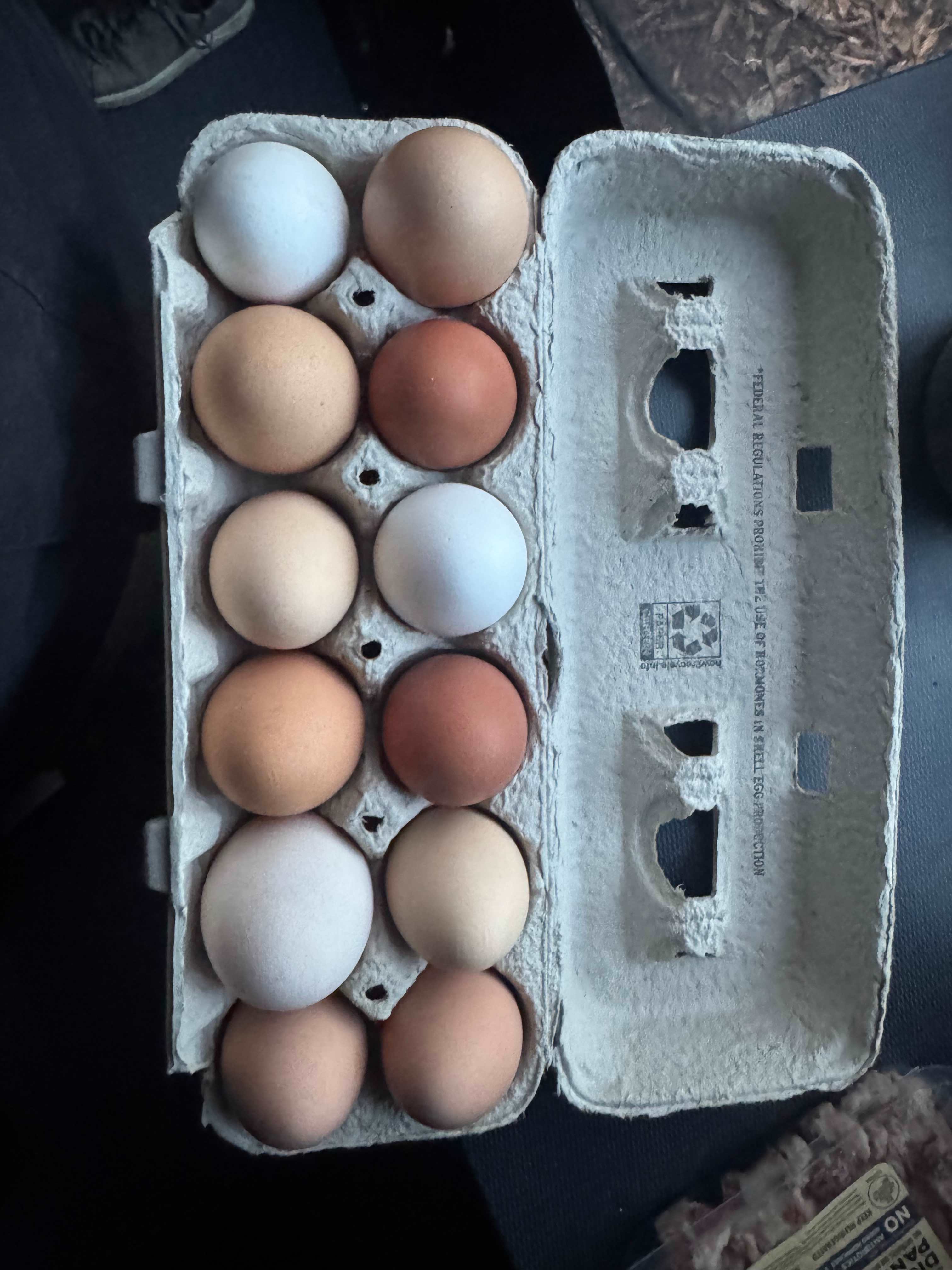 RV Tent Camping near River