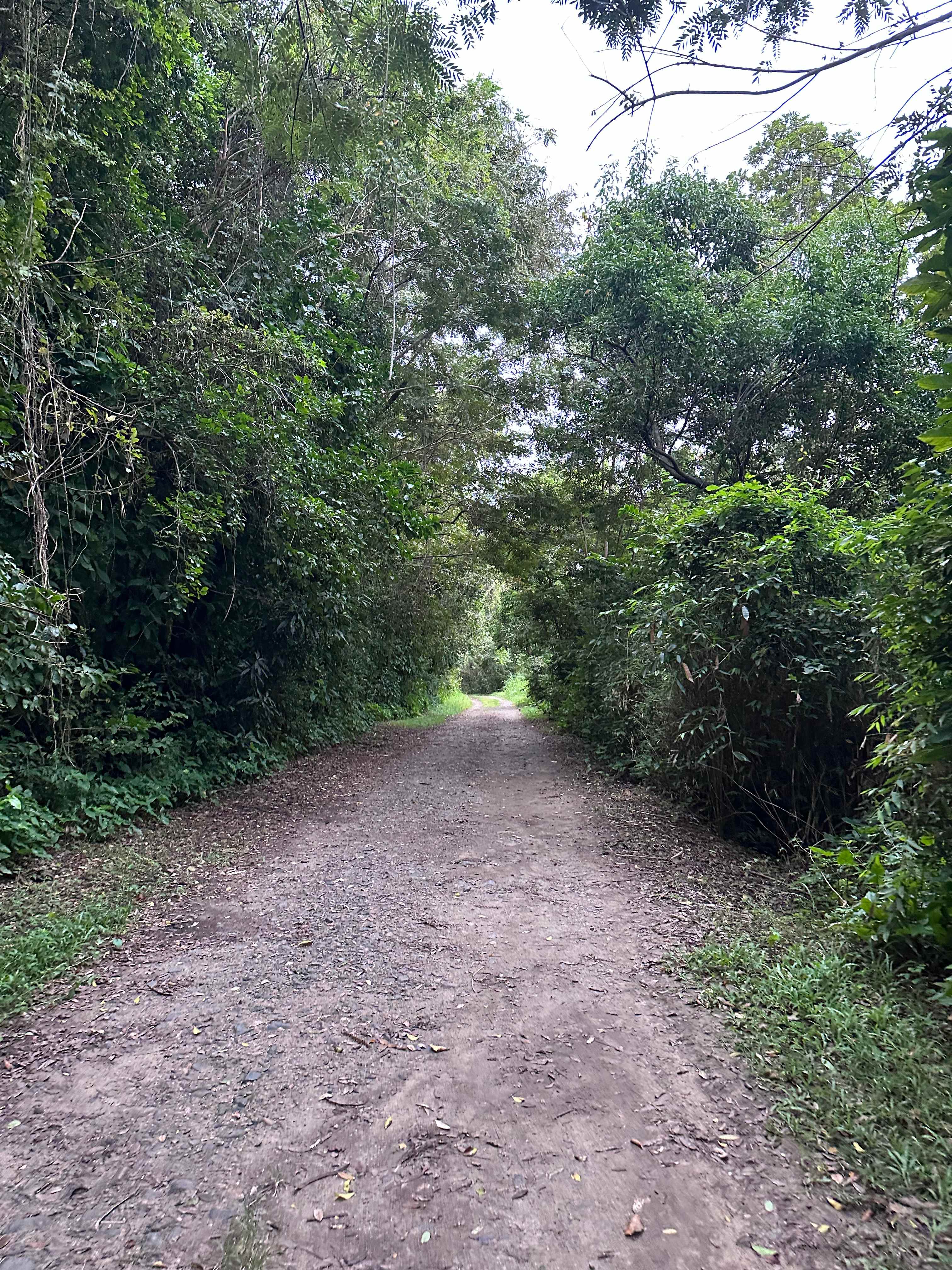 Barefoot Travelers Rooms Guesthouse