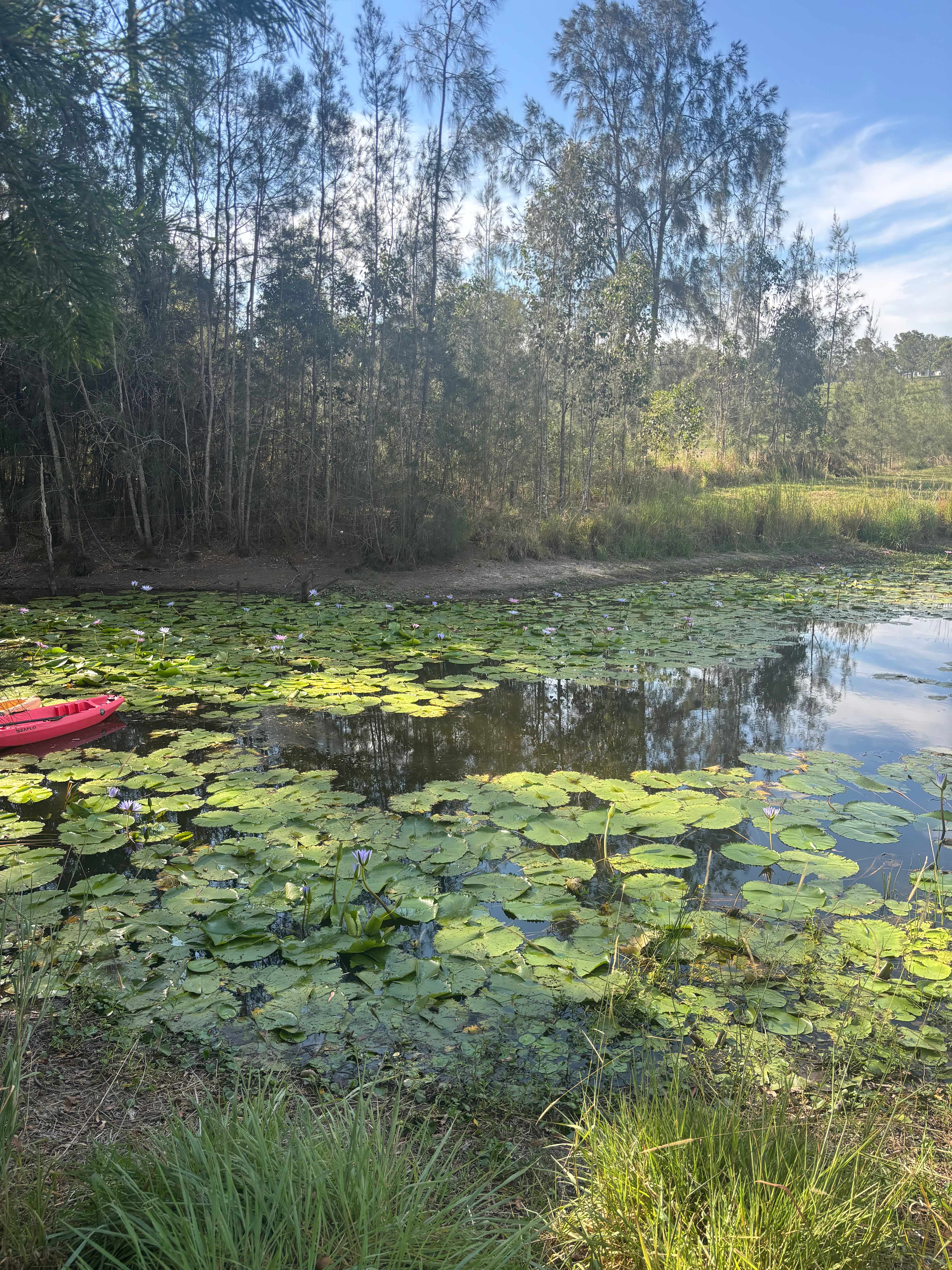 The Riverside Farm Escape Minimbah