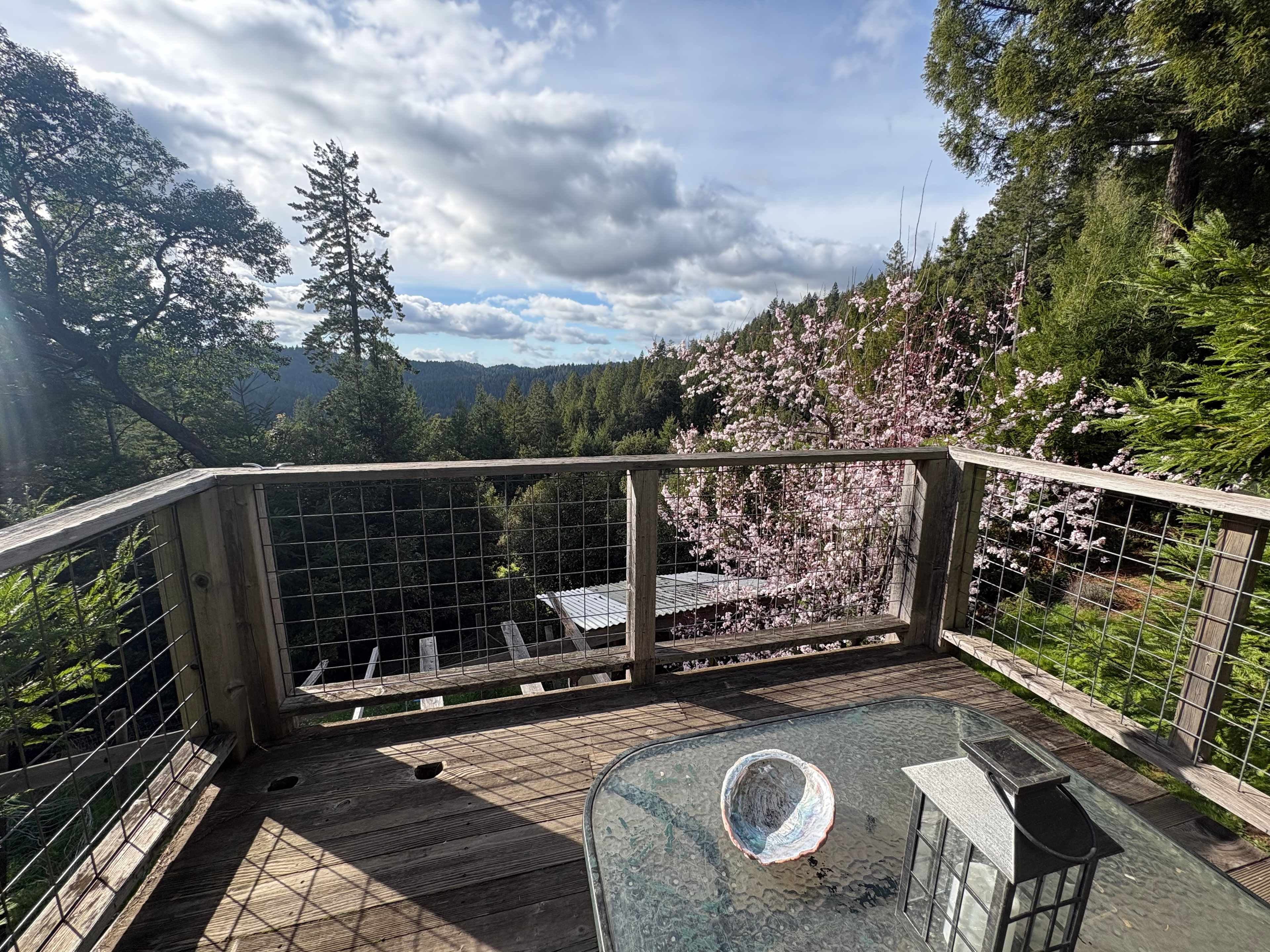 Comptche Matrix @ Sunny-land