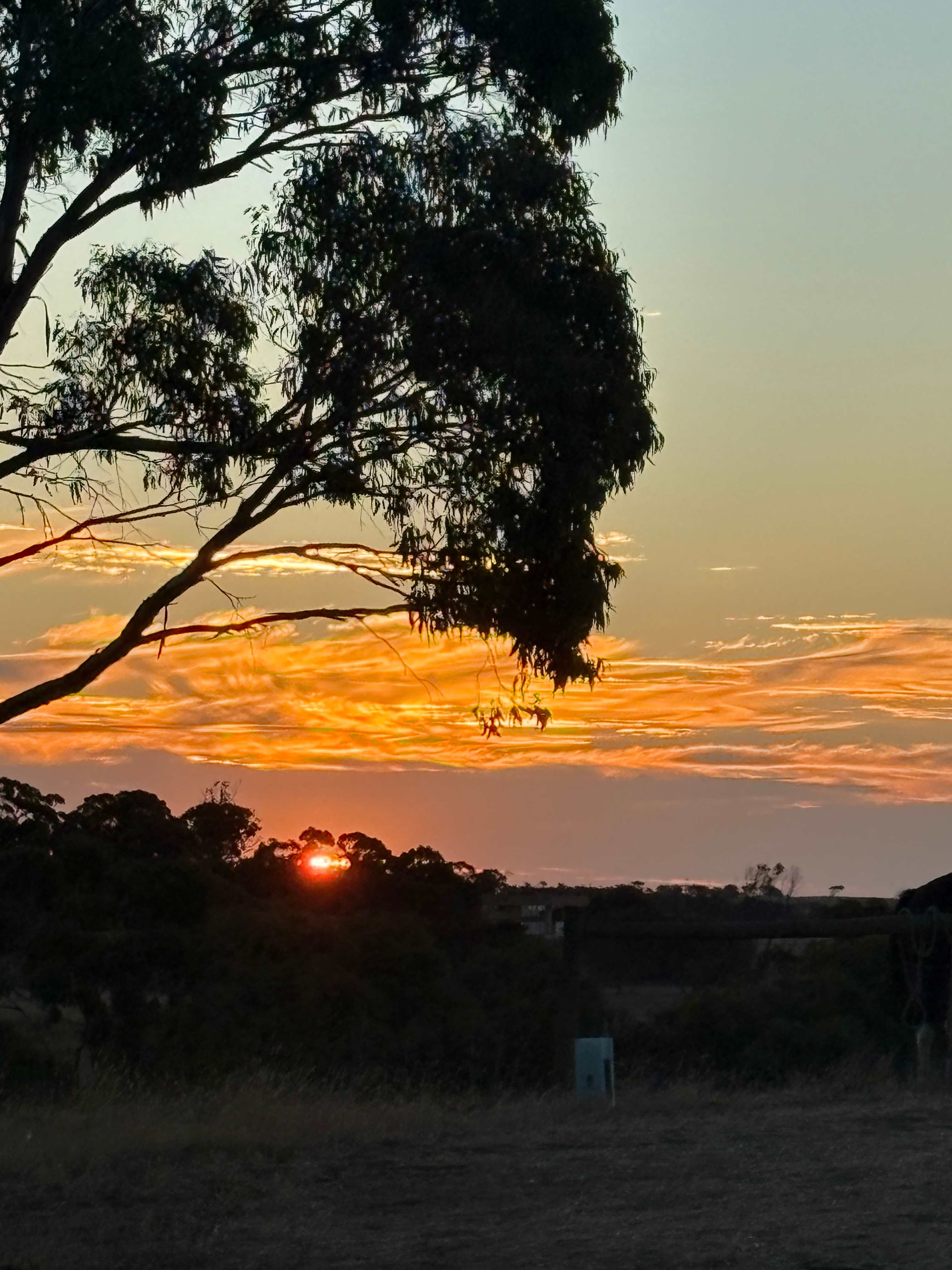 Koala Coast Retreat Farm