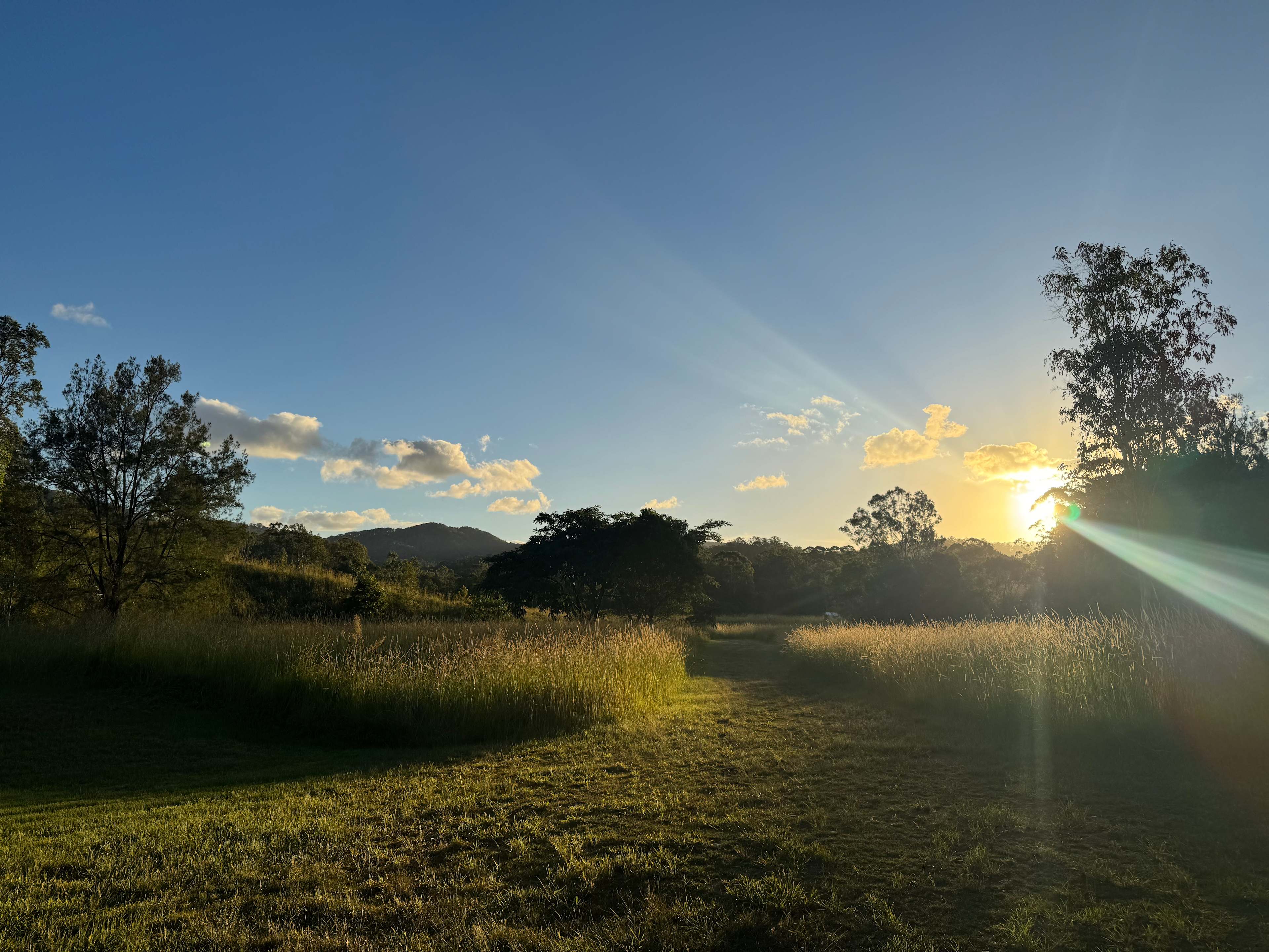 Private Rainforest Creek Camp