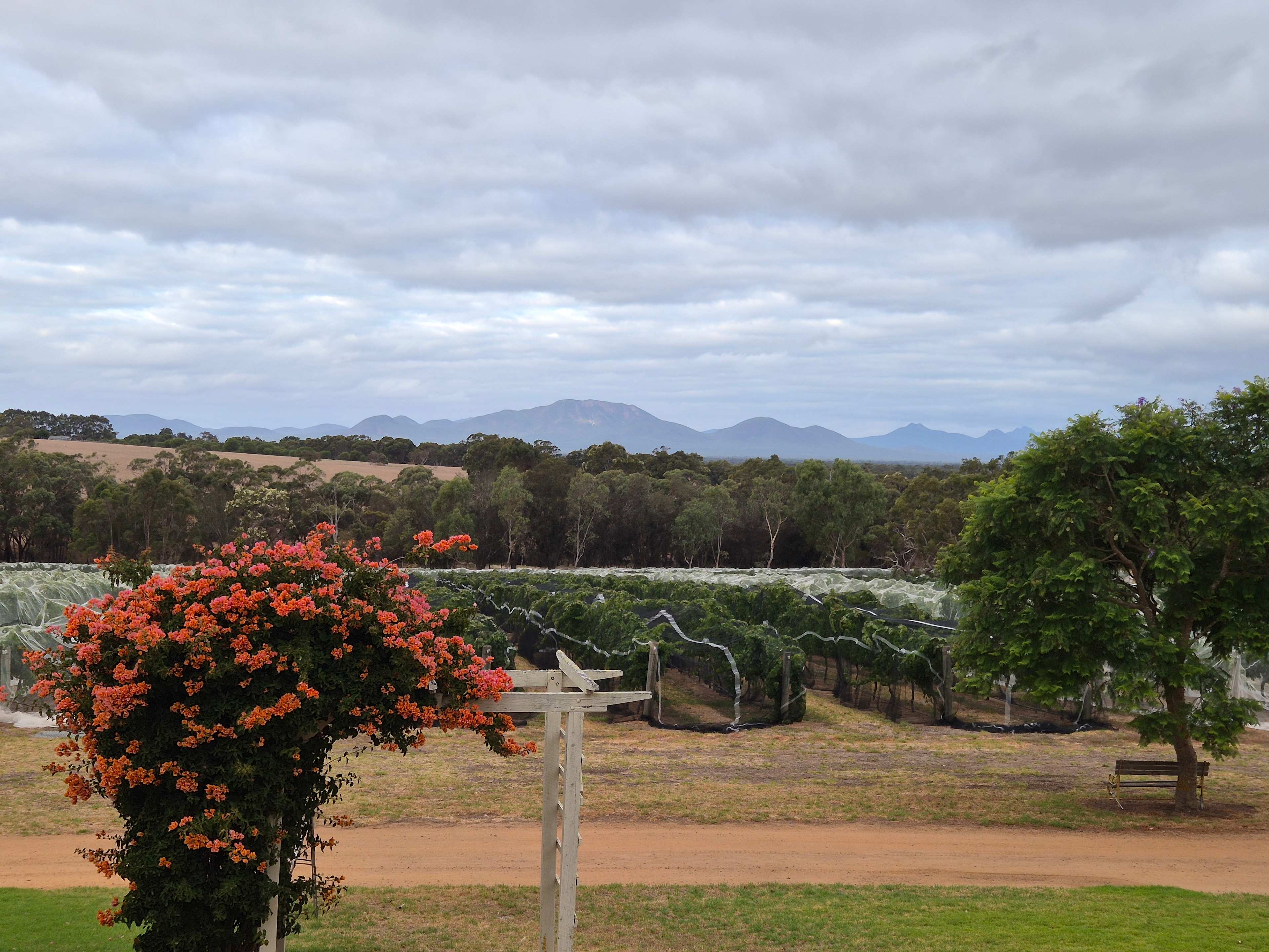 View from deck of house while wine tasting 