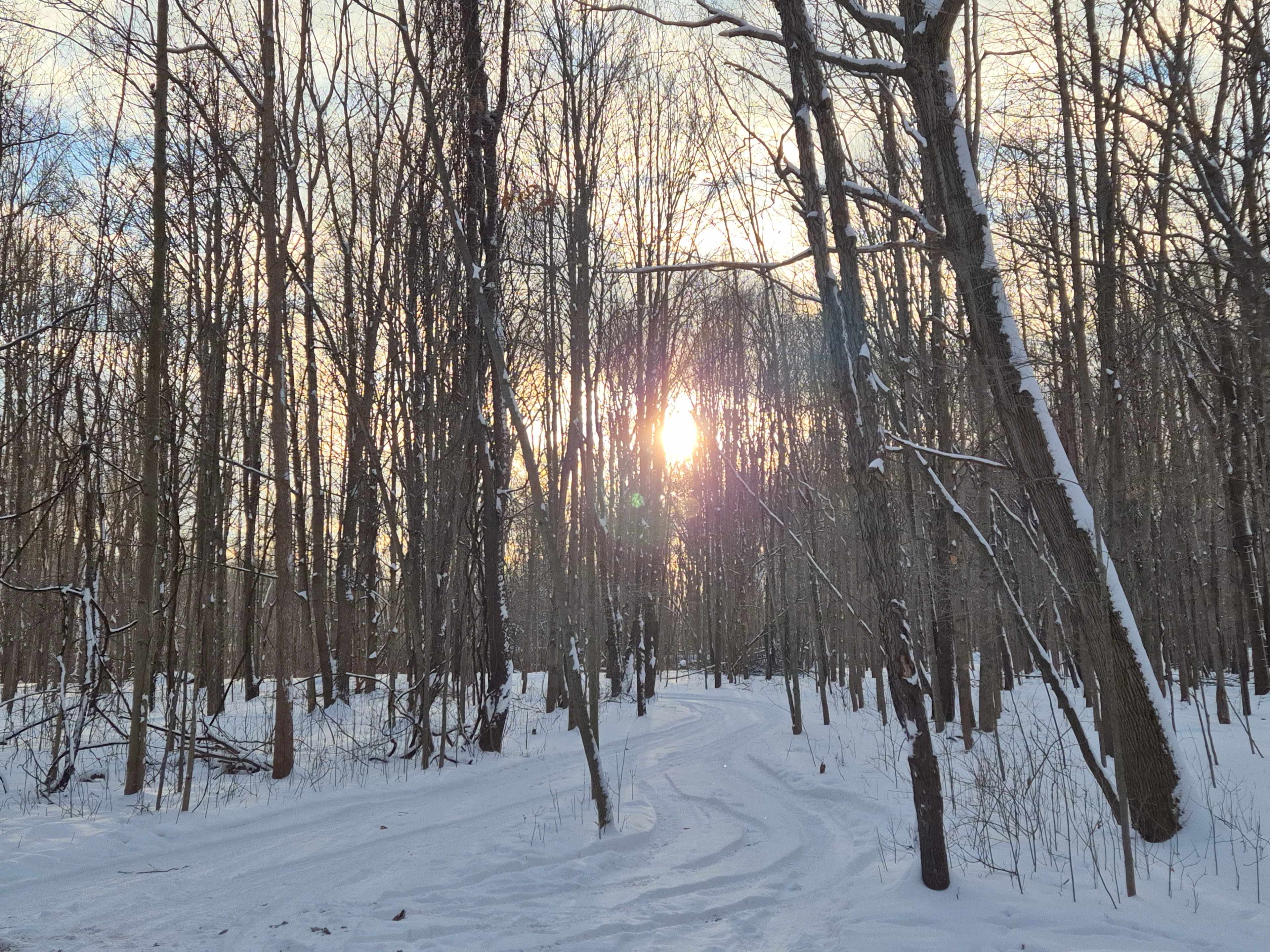 Little Cabin in the Woods
