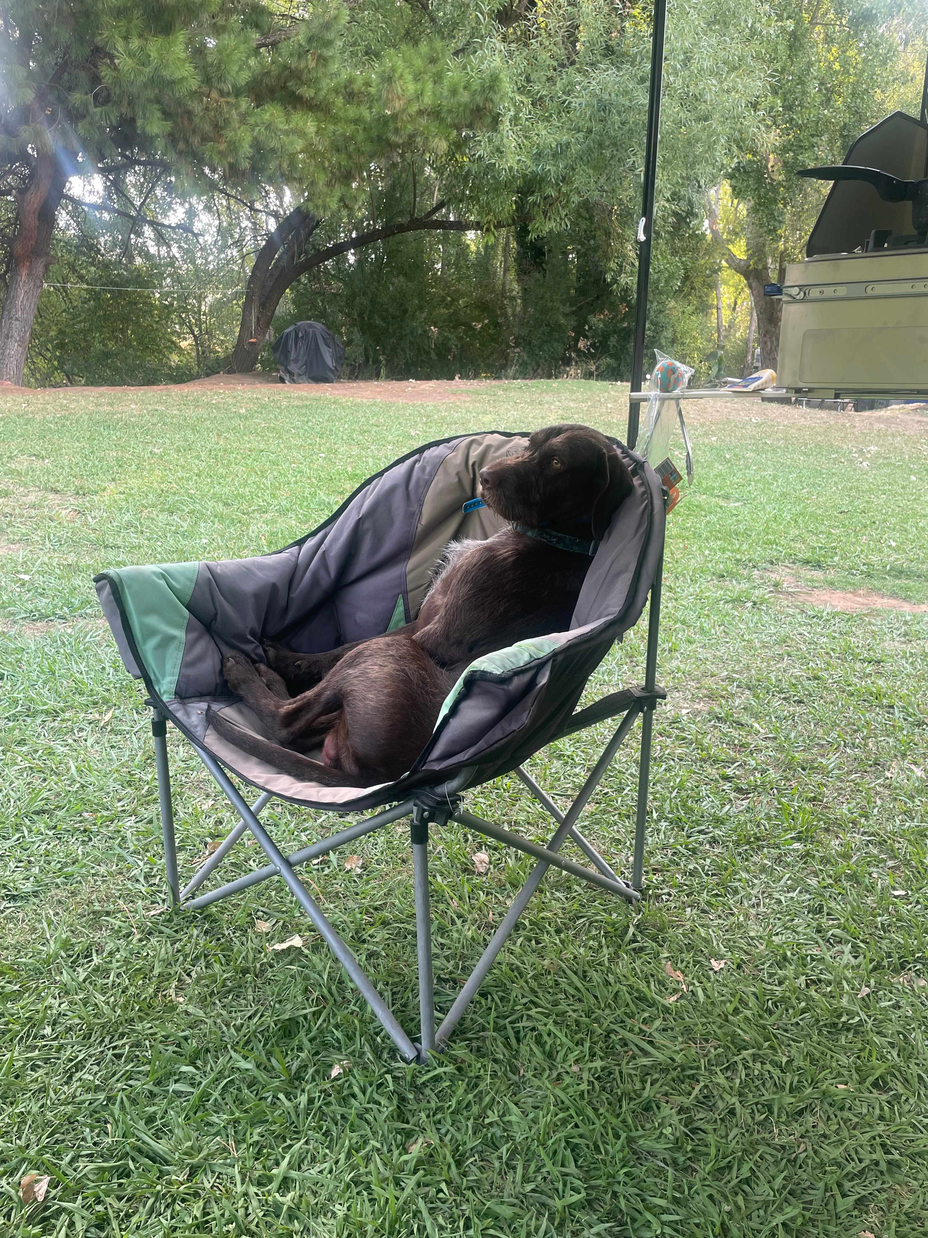 Myrtle Beech Campground