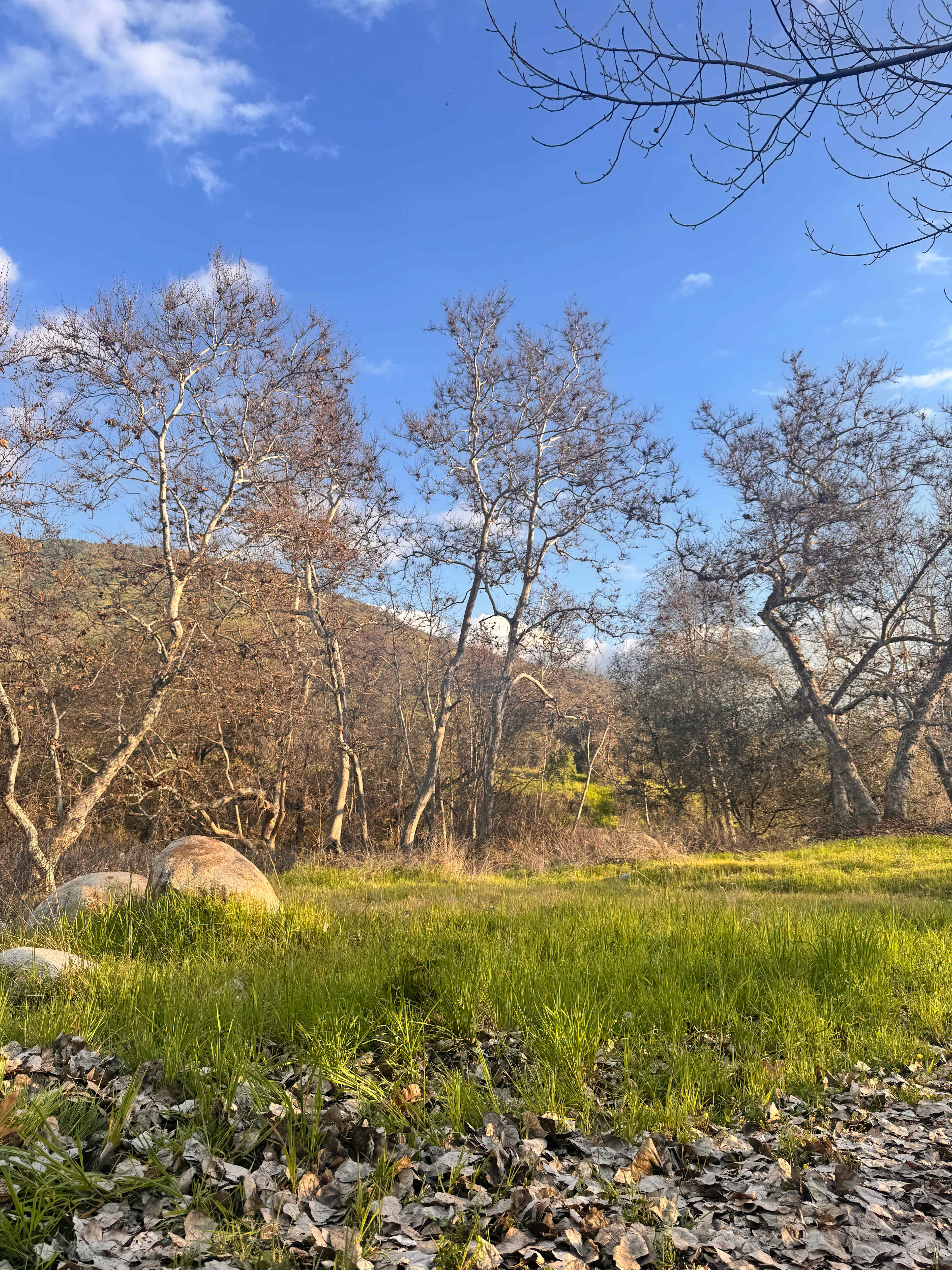 Sierra Ranch - Cabins & Tents