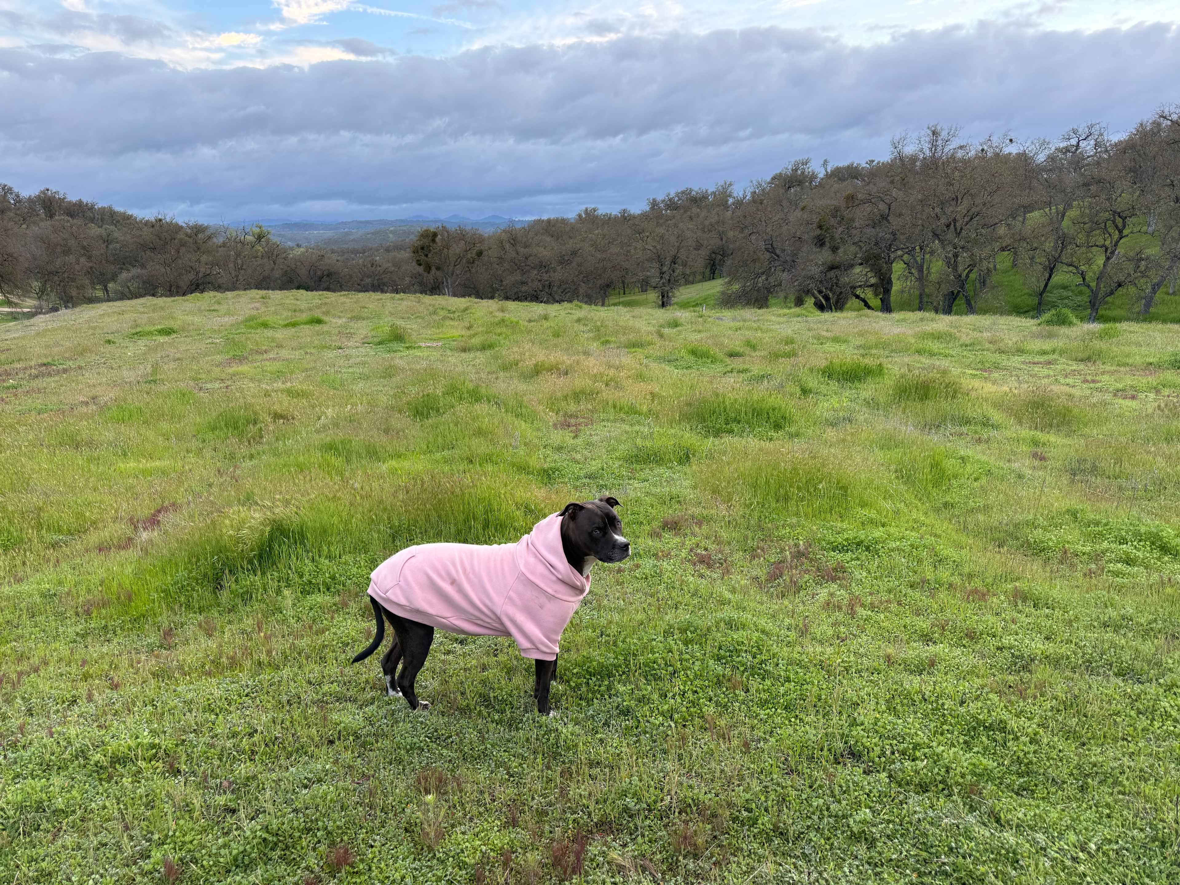 Road's End, Bradley Lockwood