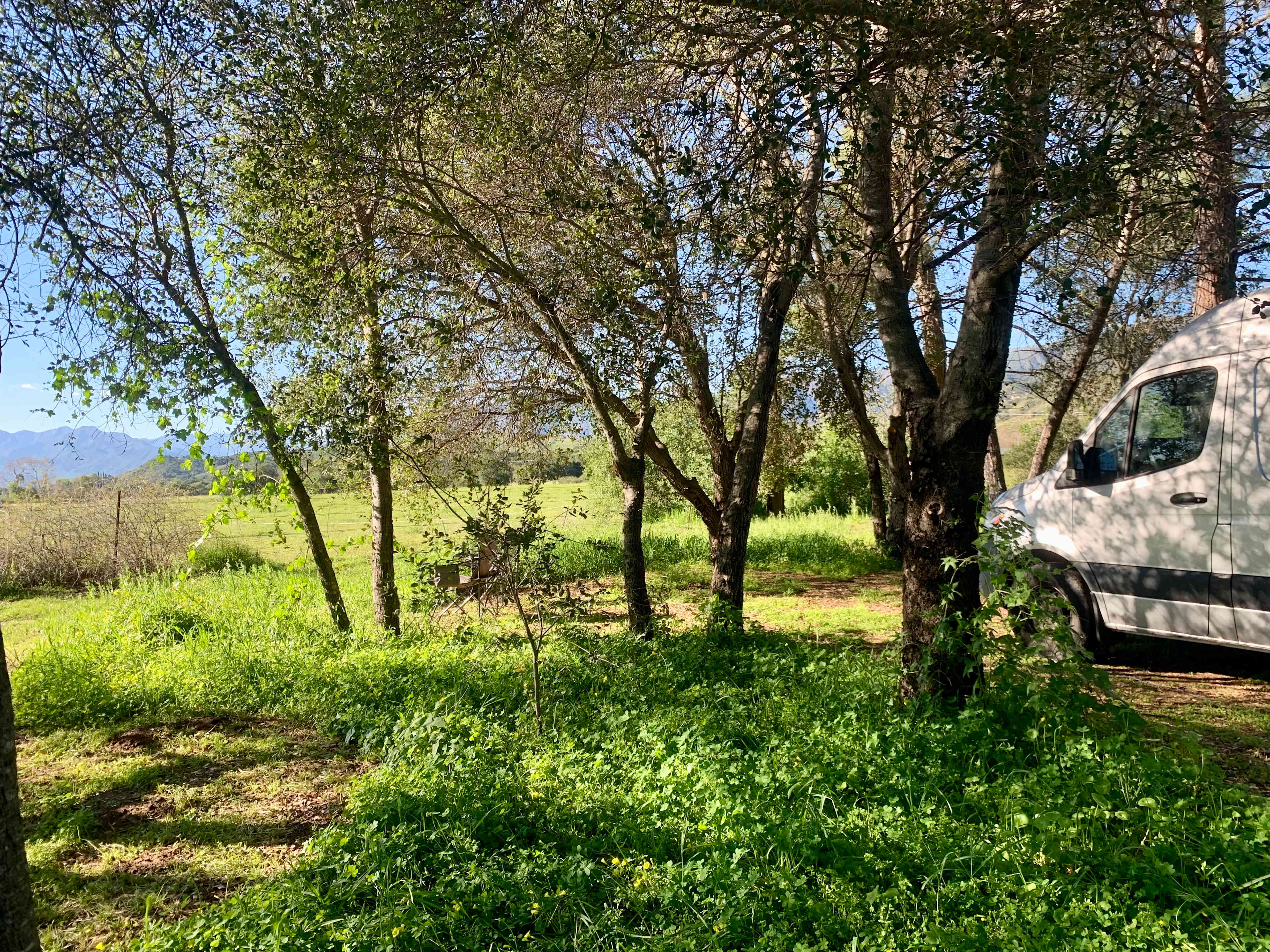 Park At Tar Creeks Ranch