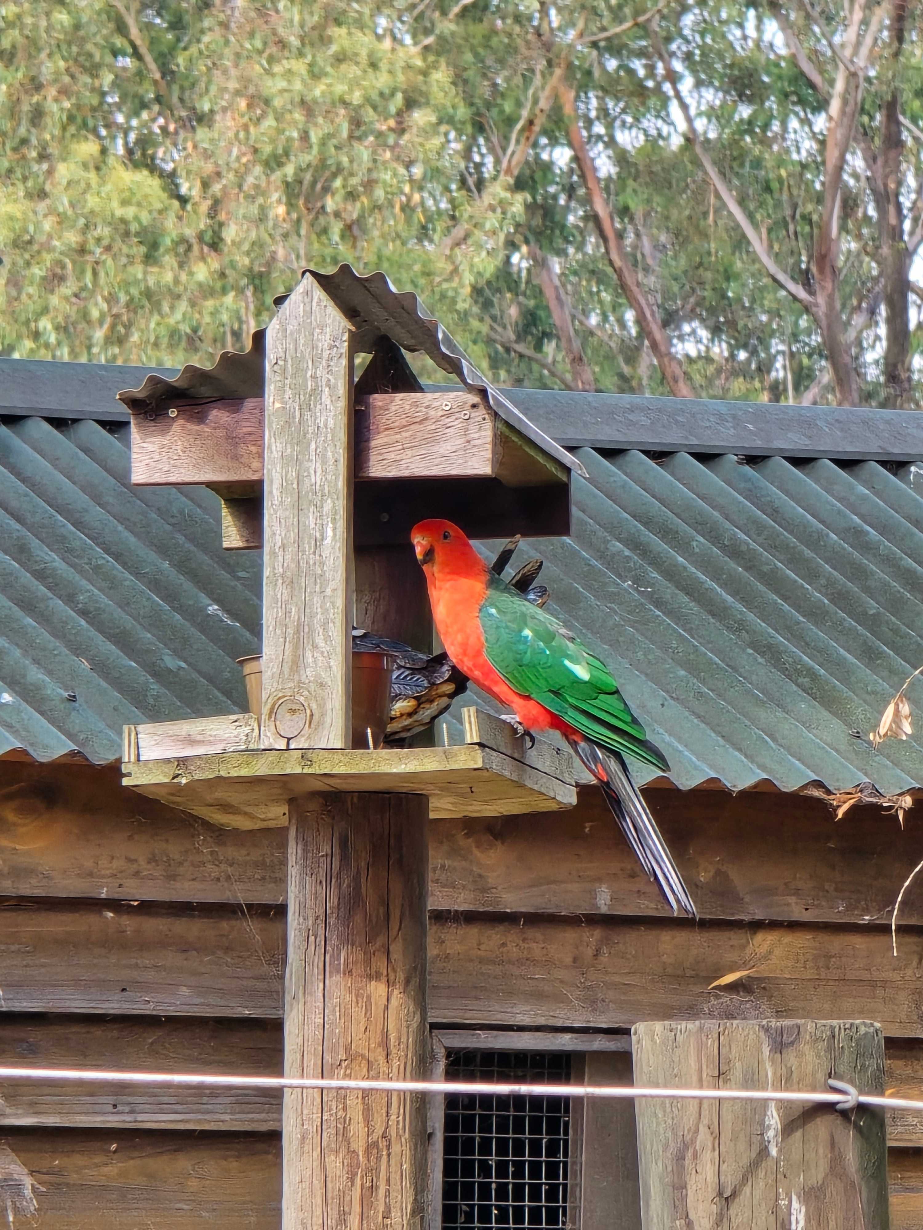 Millers Farm "The Hills are alive"