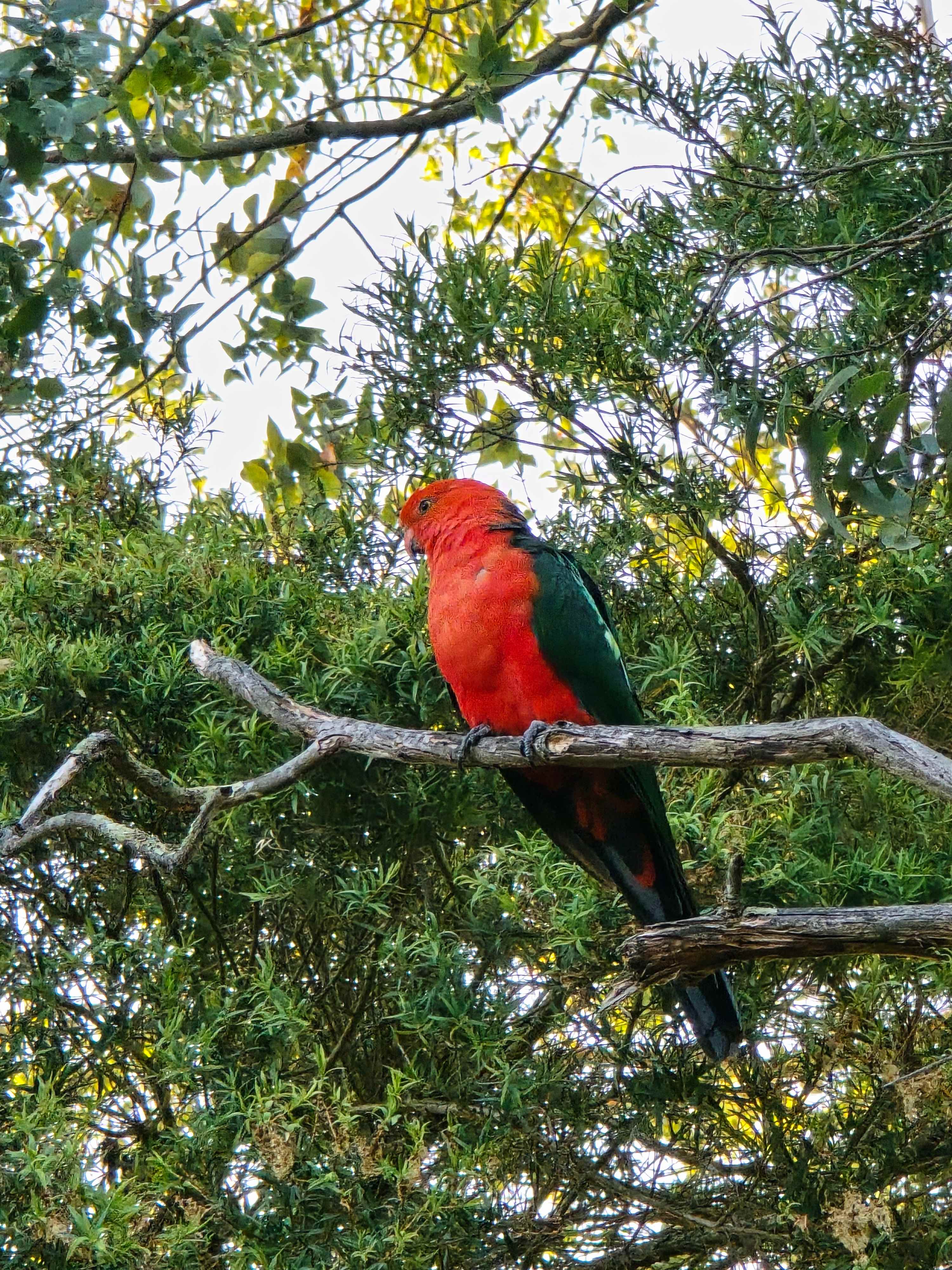 Millers Farm "The Hills are alive"