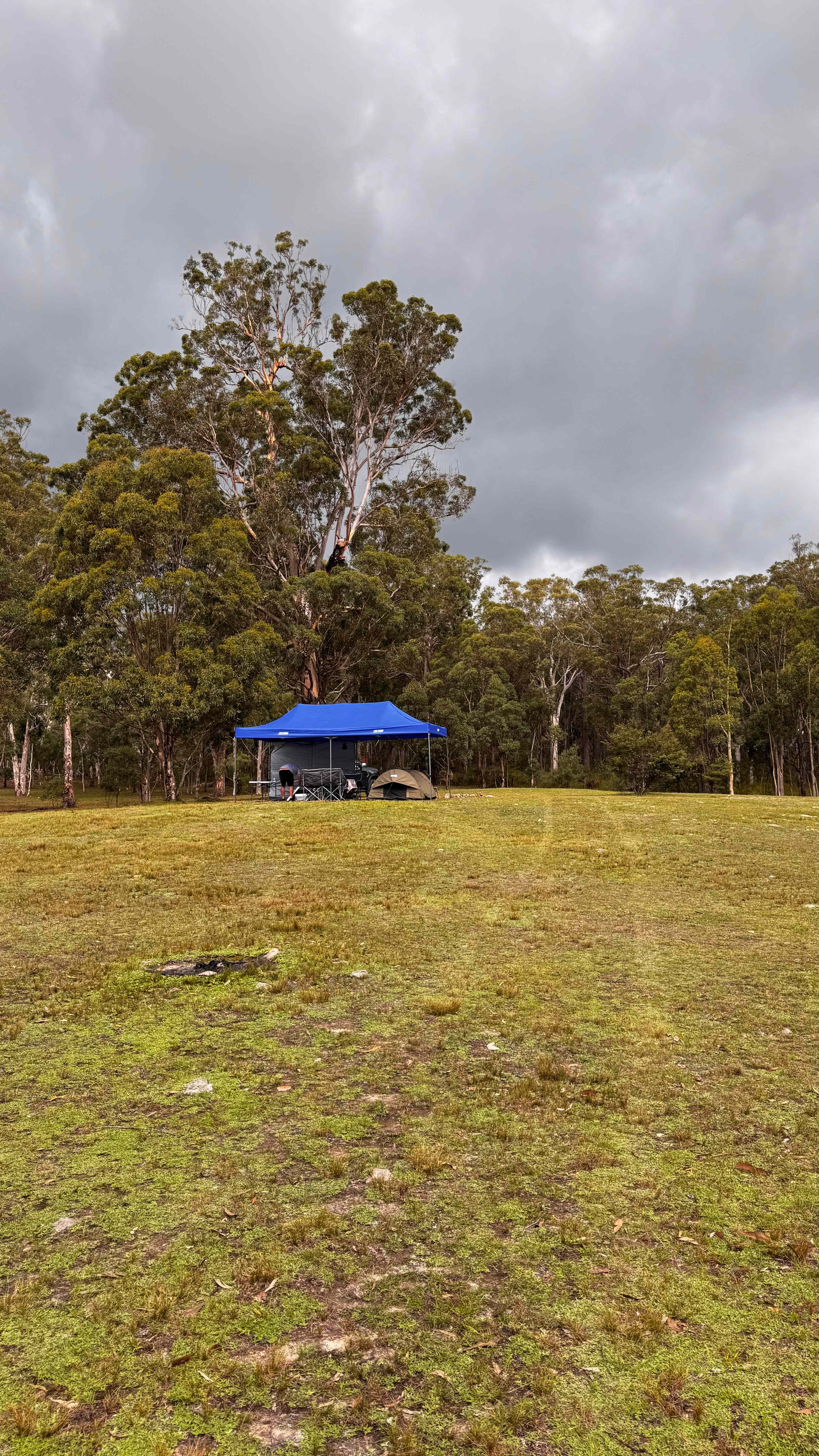 Megalong Valley Farm
