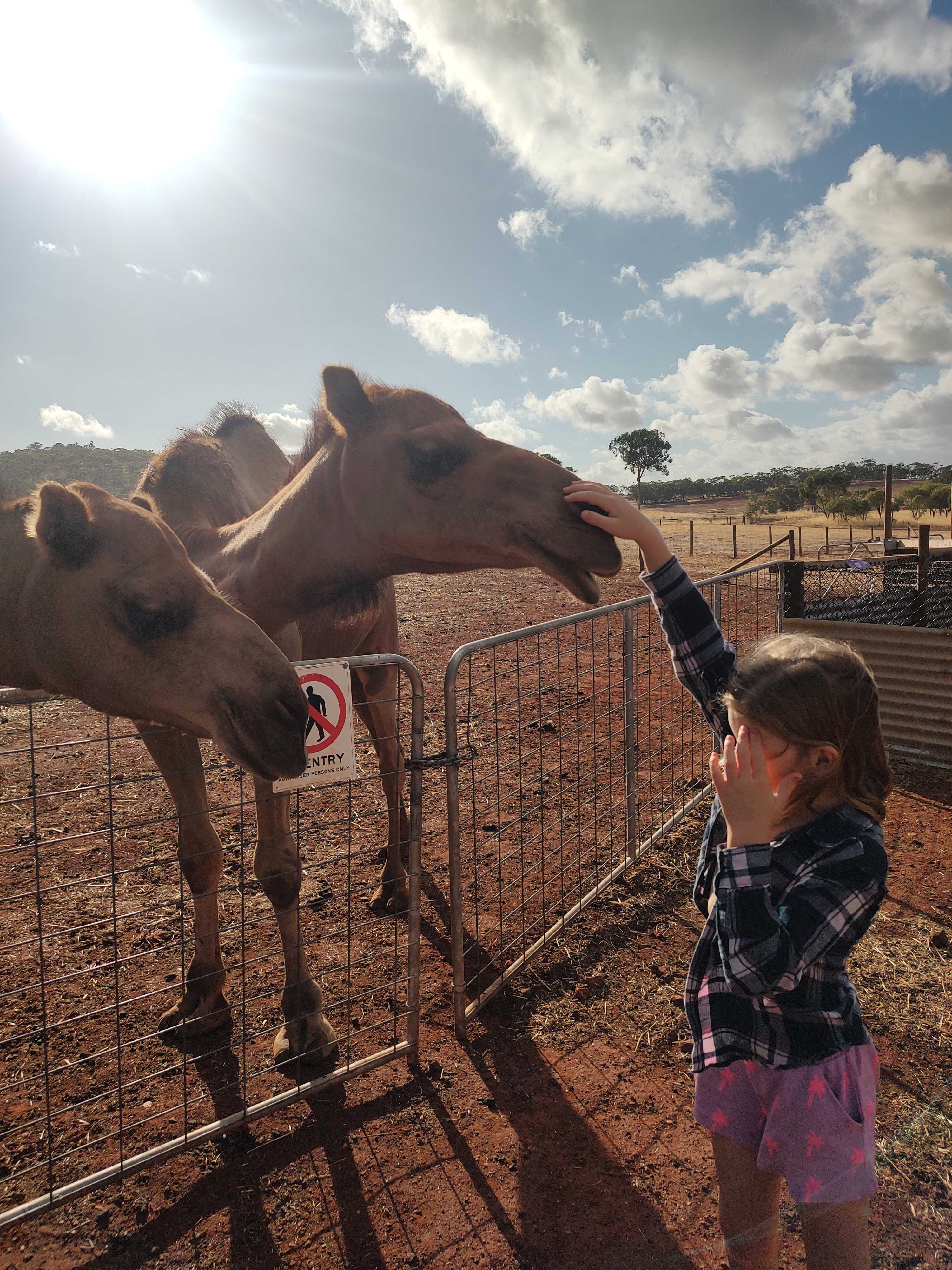 Sandalwood Downs  Farm Stay Toodyay