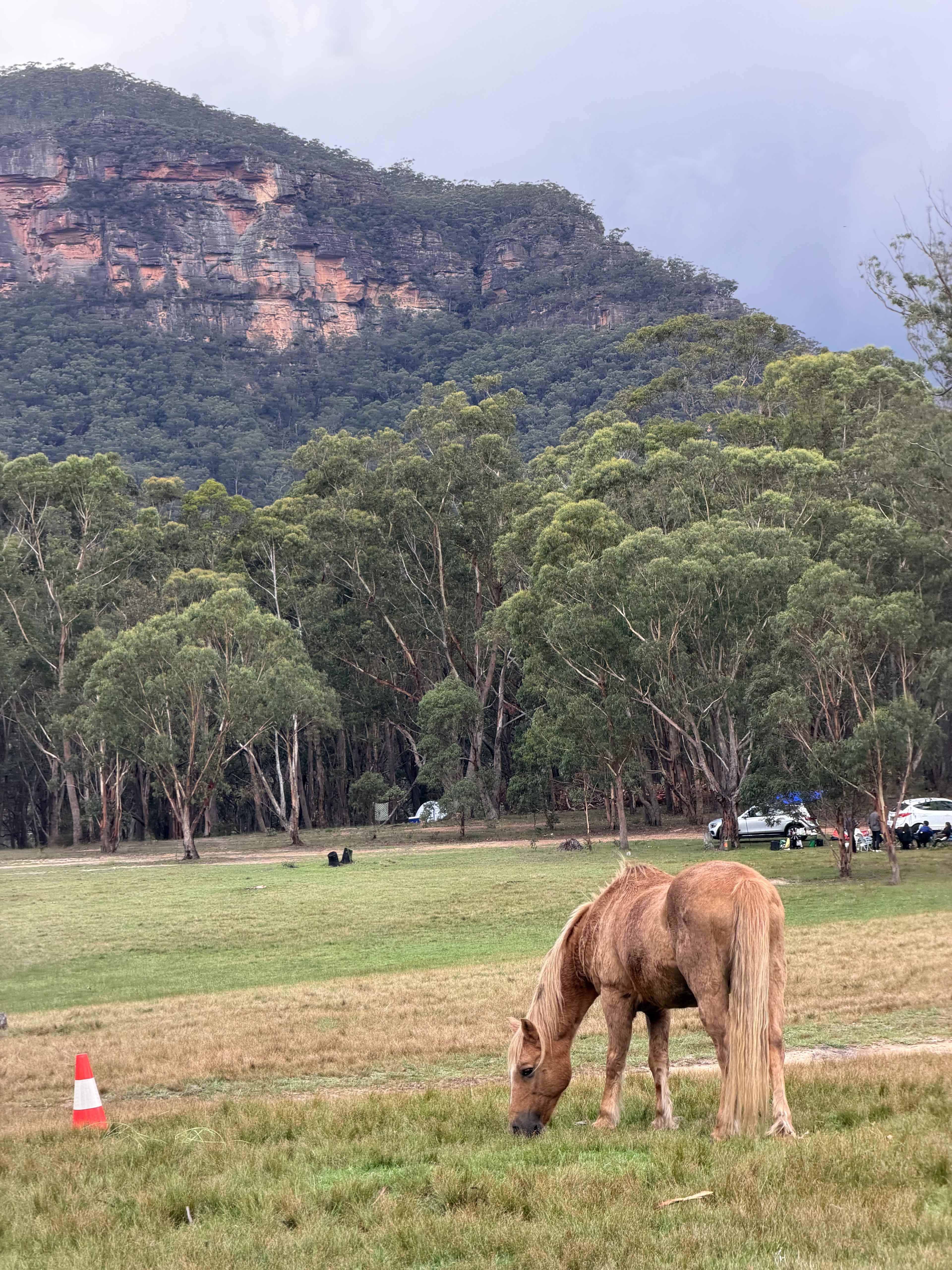 Megalong Valley Farm