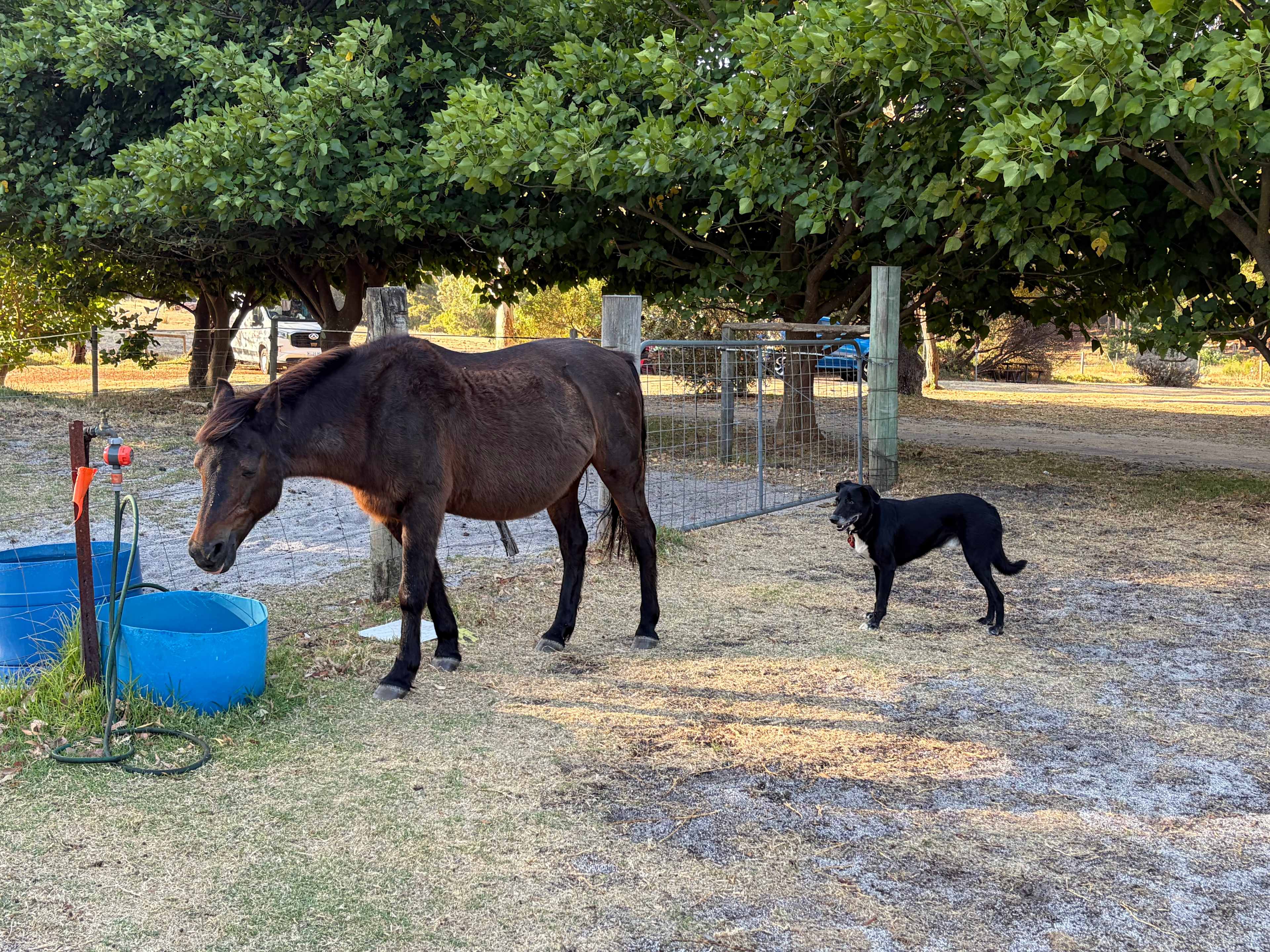 Fair Harvest Retreat Margaret River
