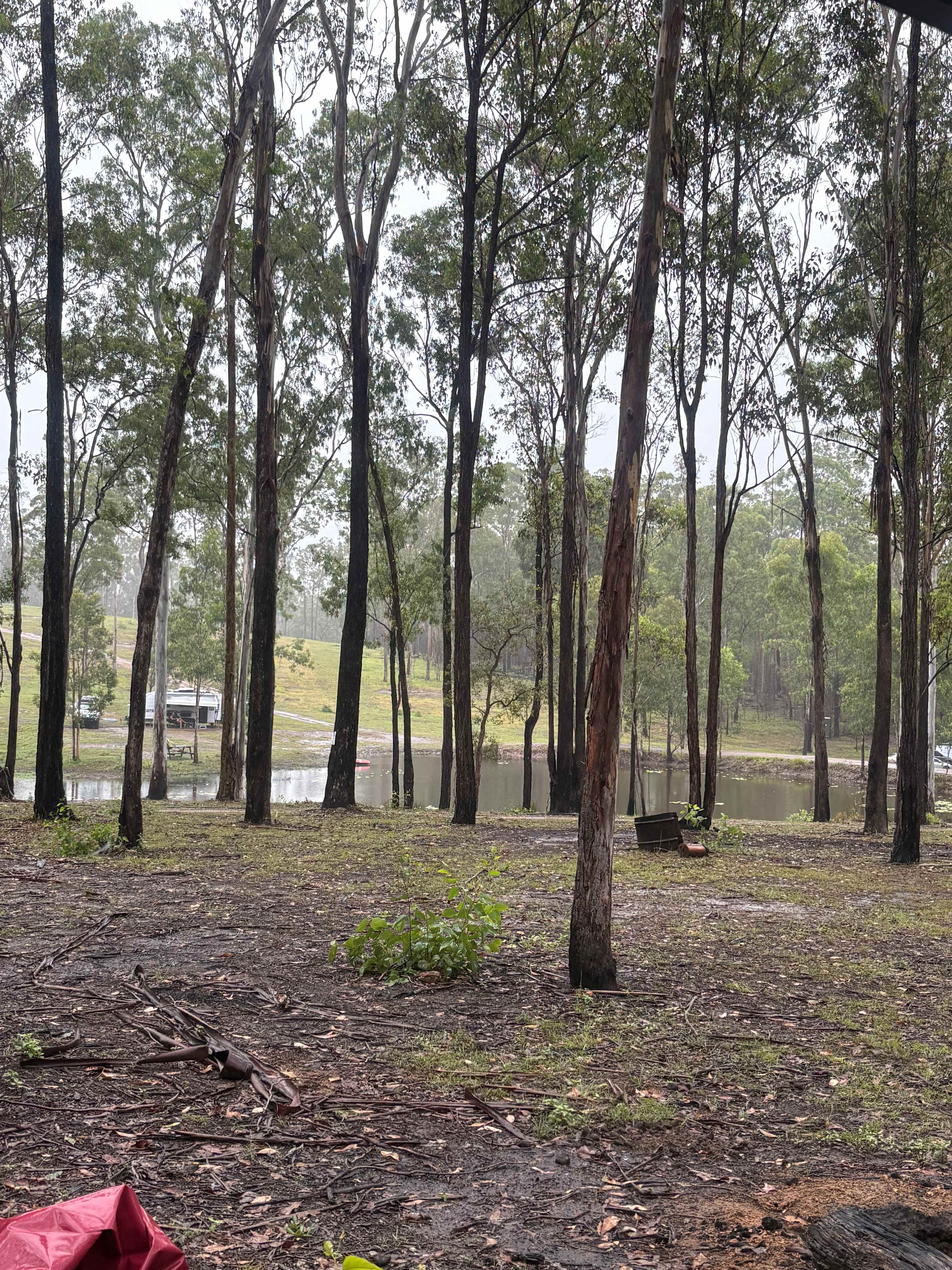 View of the Dam in the background and Grassy Hill. 