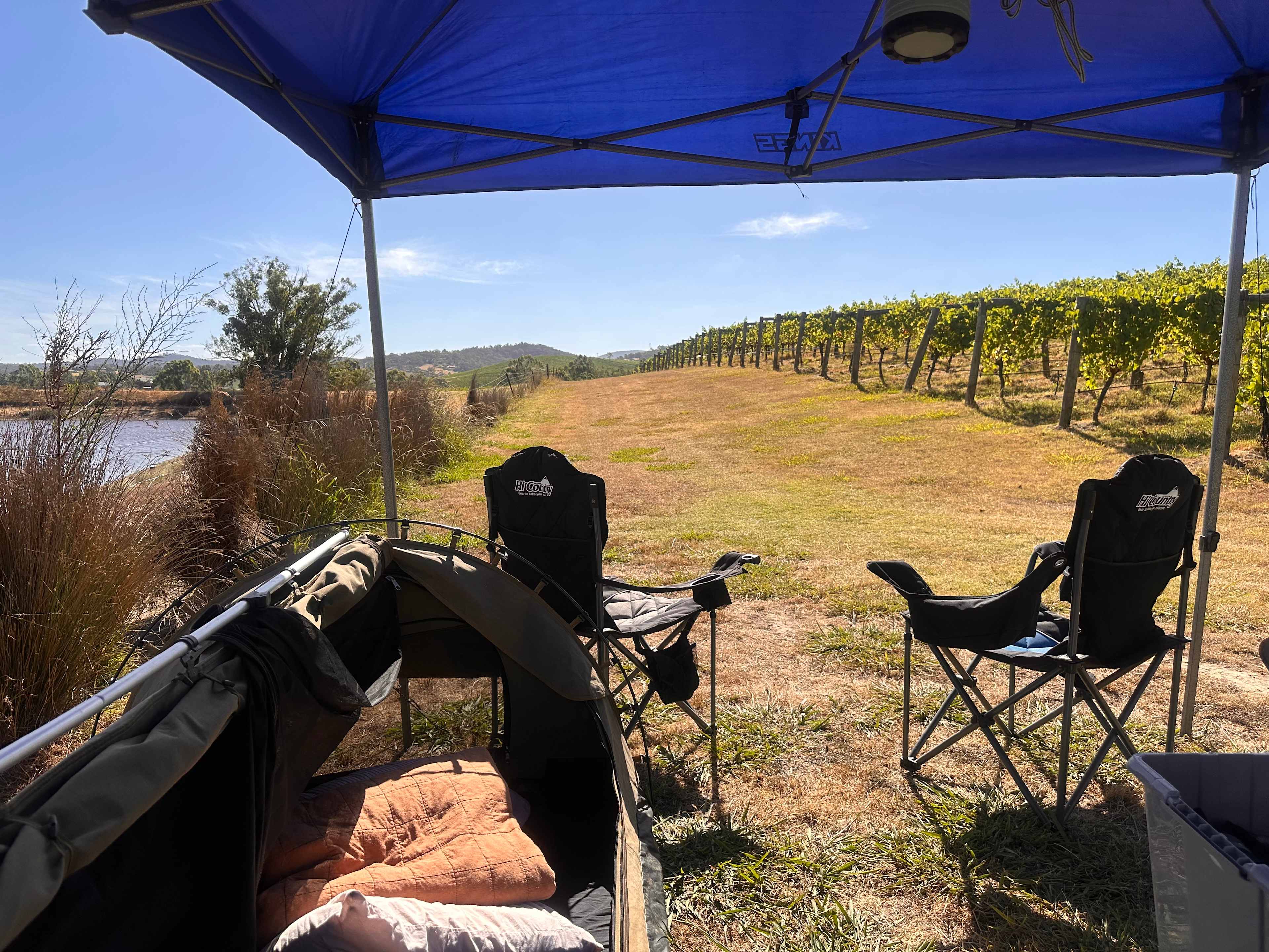 Mt Hope Vineyard Estate.