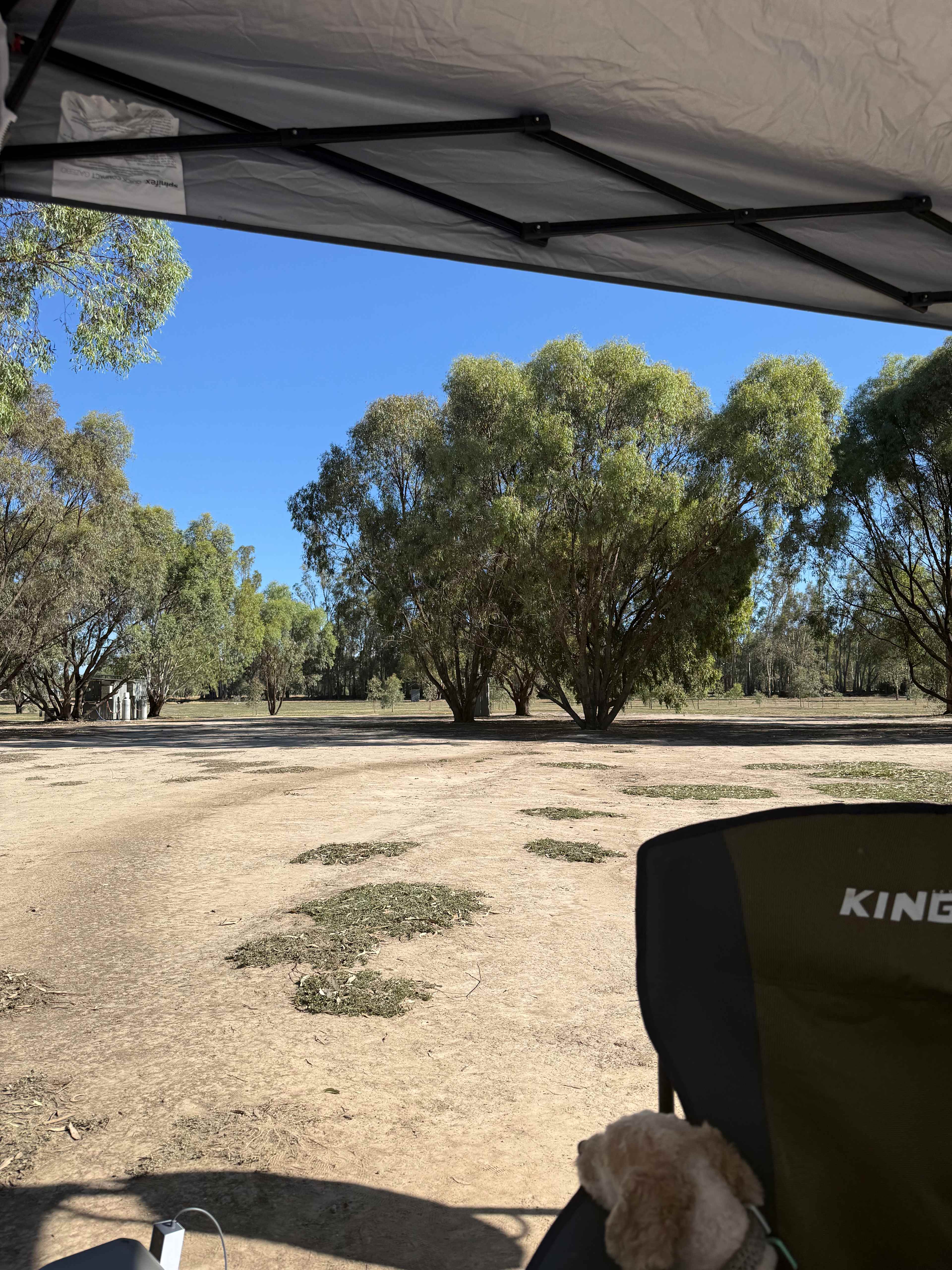 Murray River Bush Camp