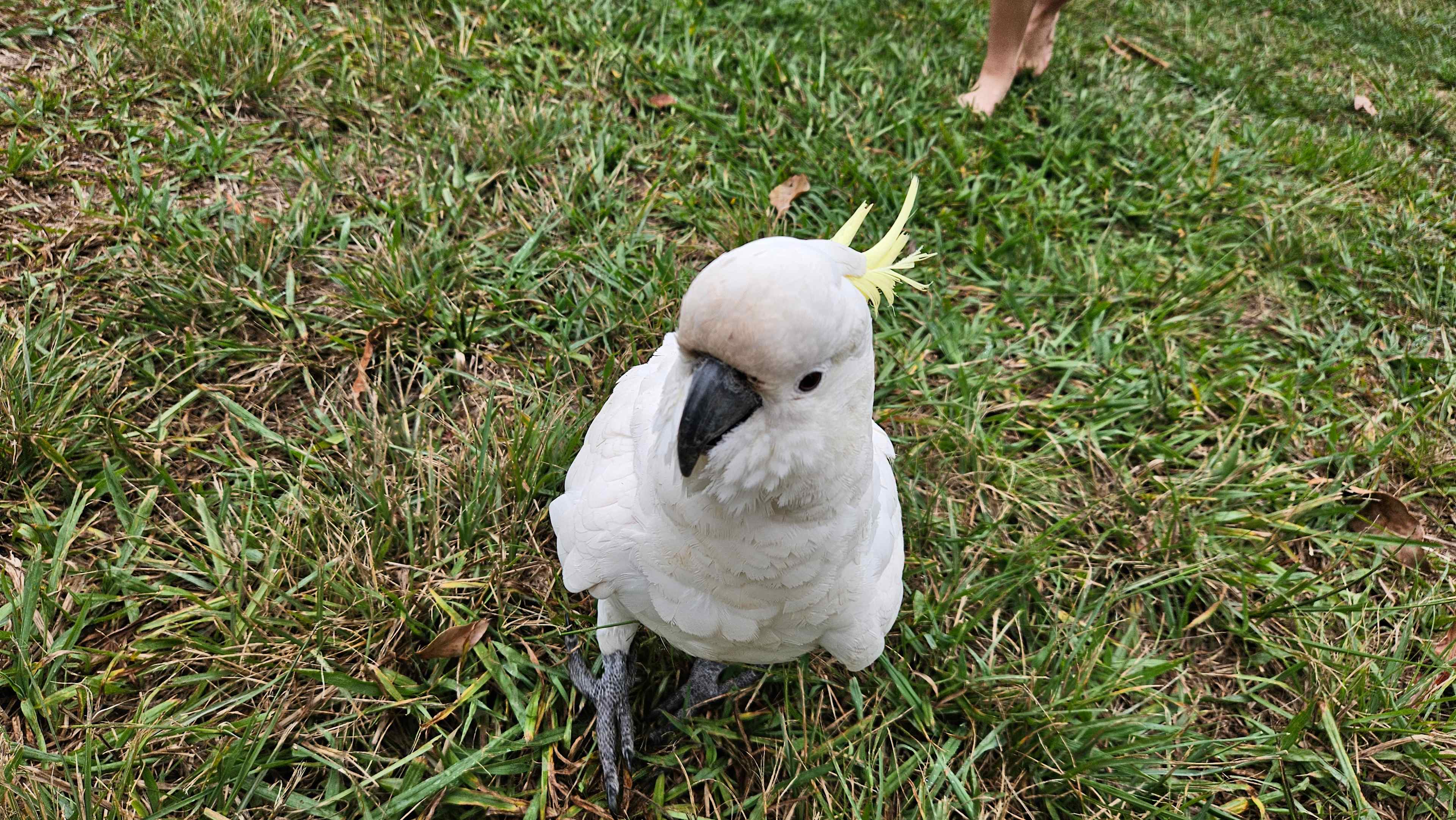 The Riverside Farm Escape Minimbah