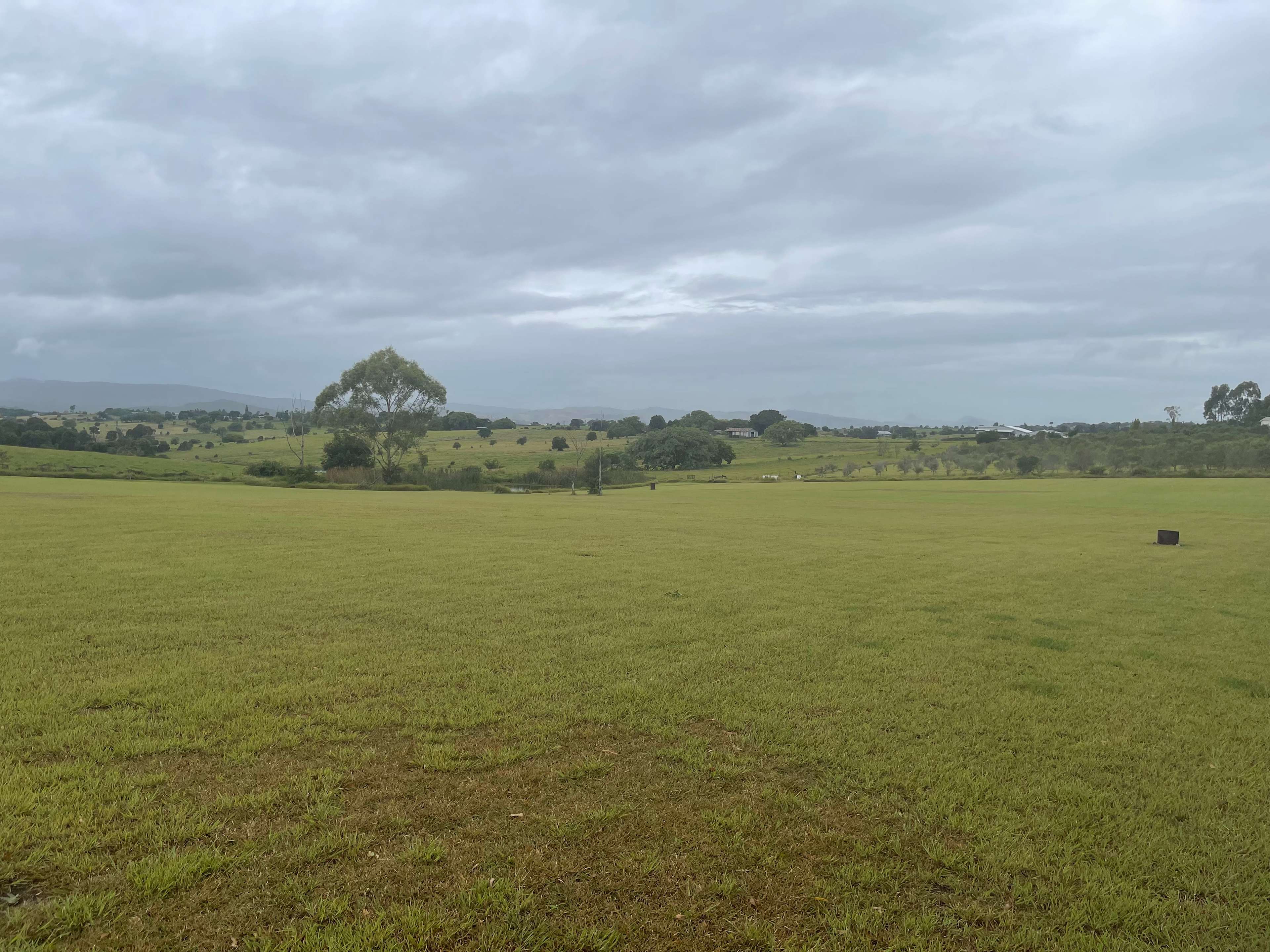 Olive View Estate - Stunning Views!