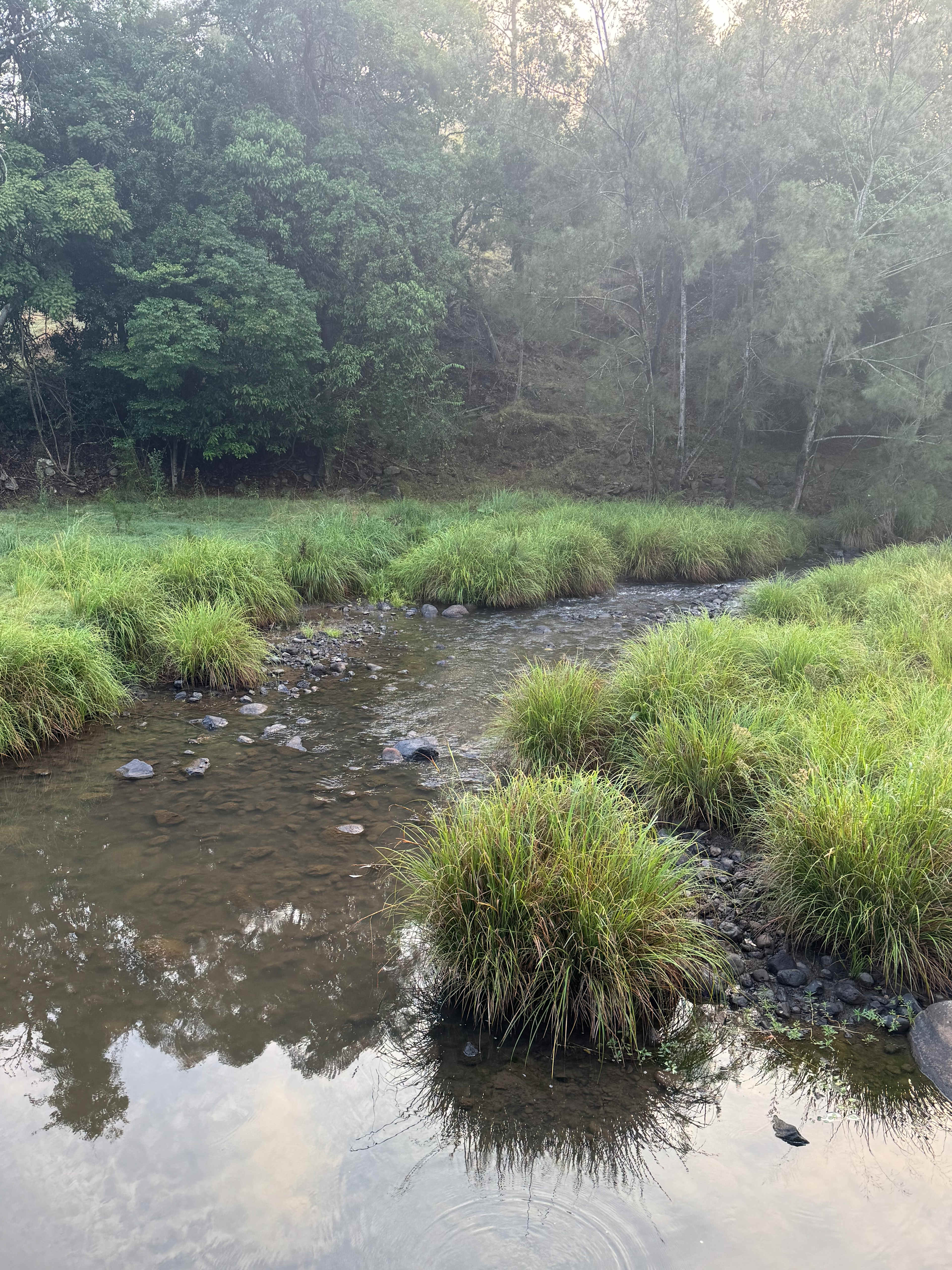 Andrew Drynan Park-Camp with a view